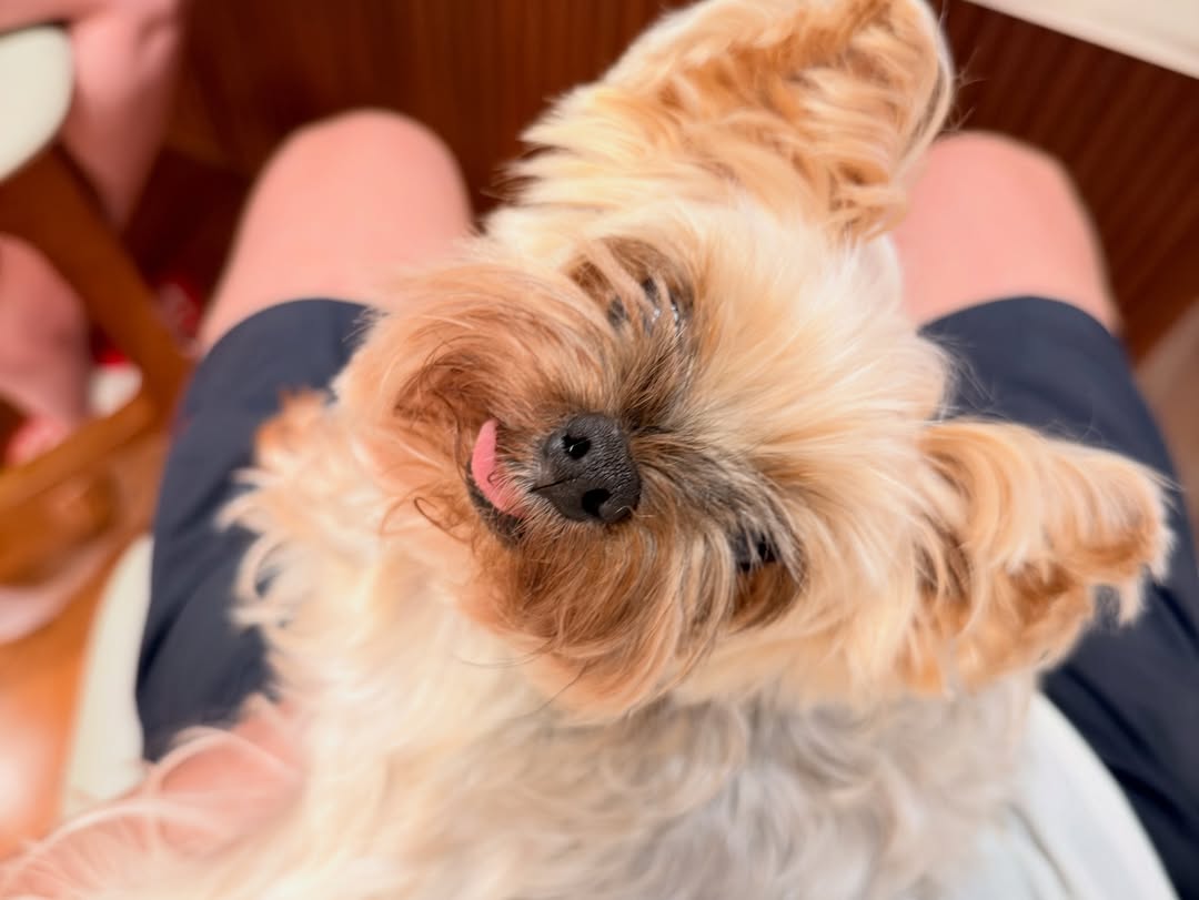 เจมส์ - จิรายุ ตั้งศรีสุข