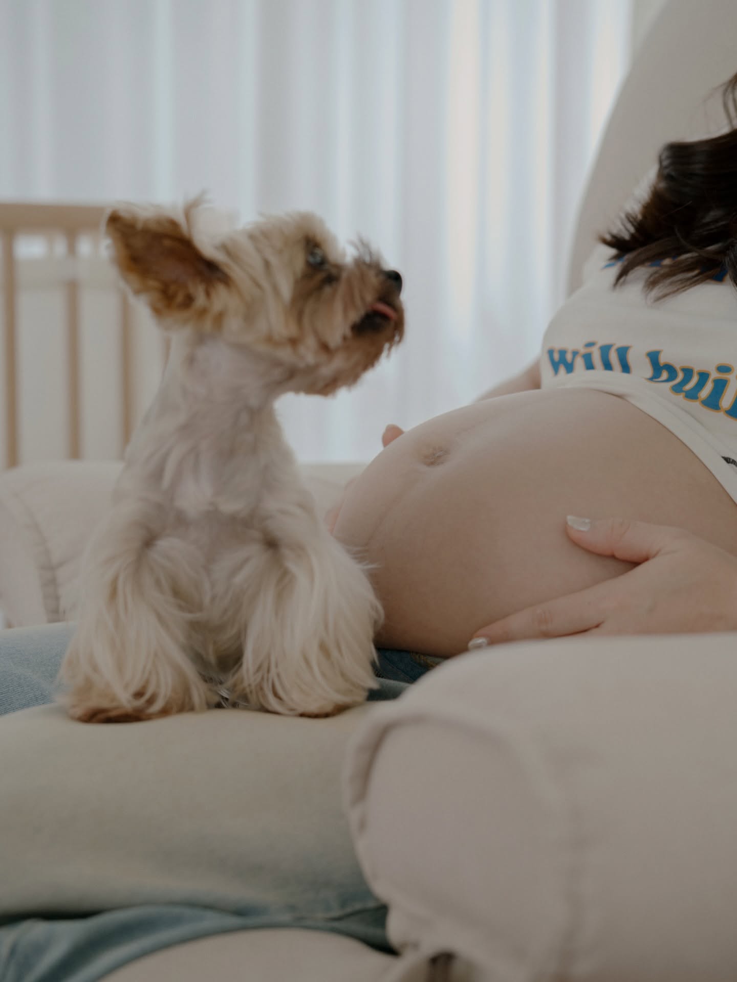 เจมส์ - จิรายุ ตั้งศรีสุข