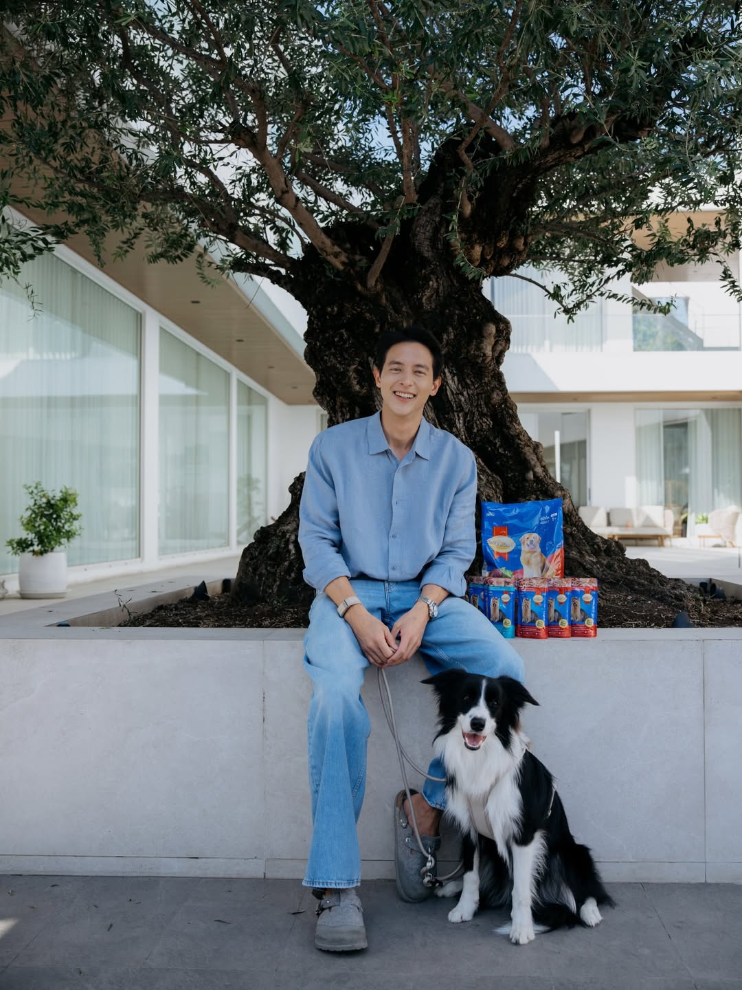 เจมส์ - จิรายุ ตั้งศรีสุข