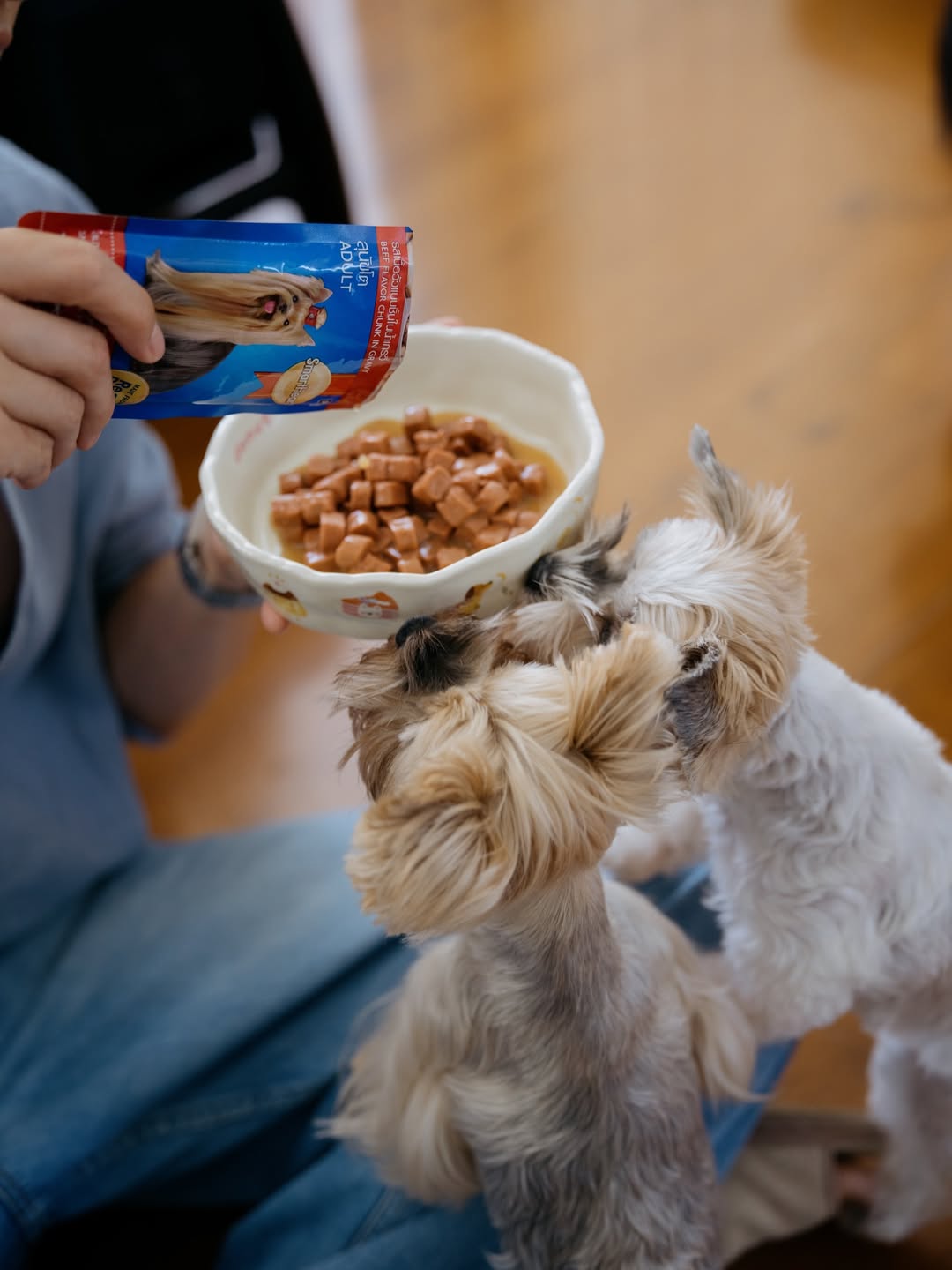 เจมส์ - จิรายุ ตั้งศรีสุข