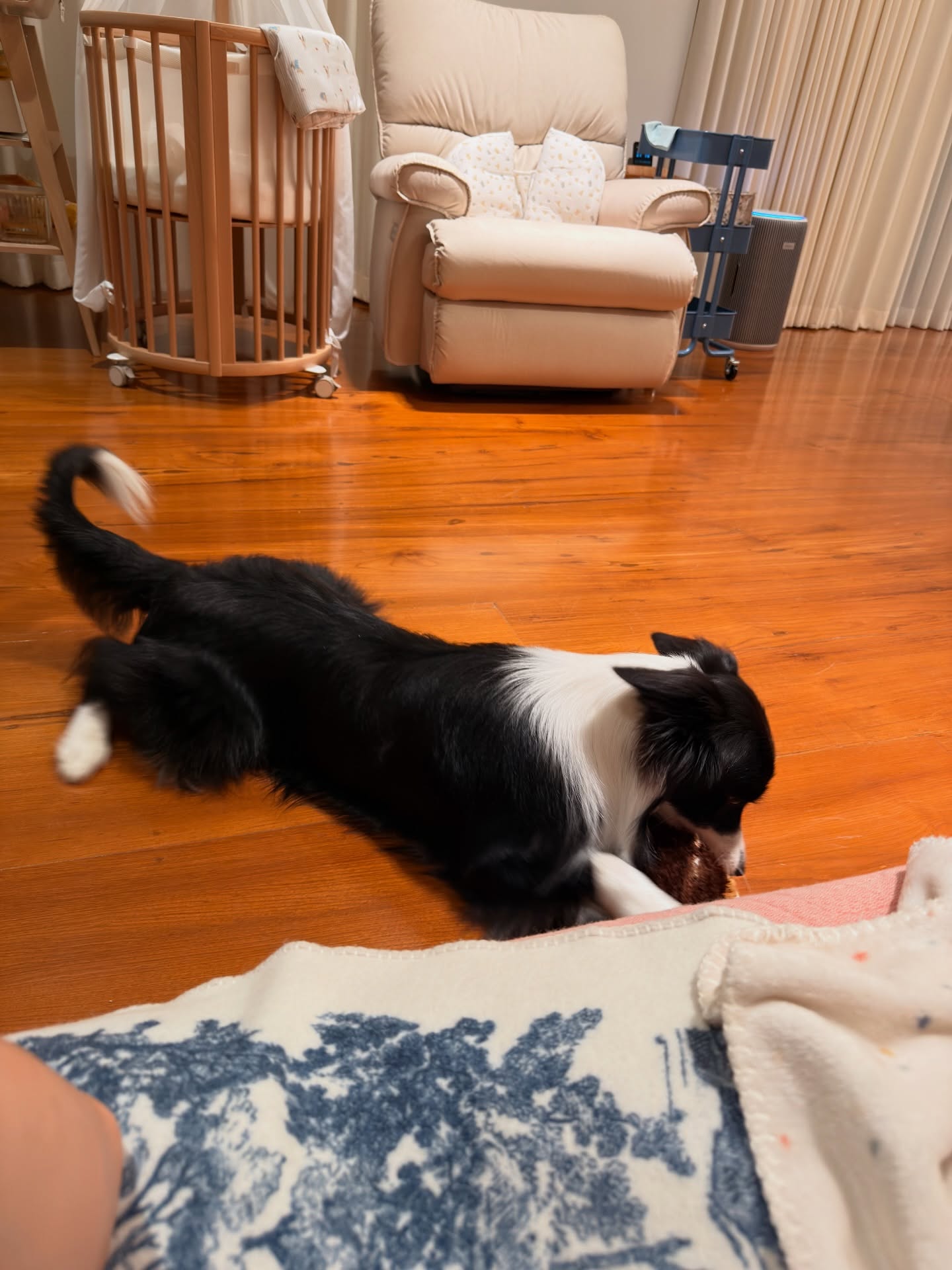 เจมส์ - จิรายุ ตั้งศรีสุข