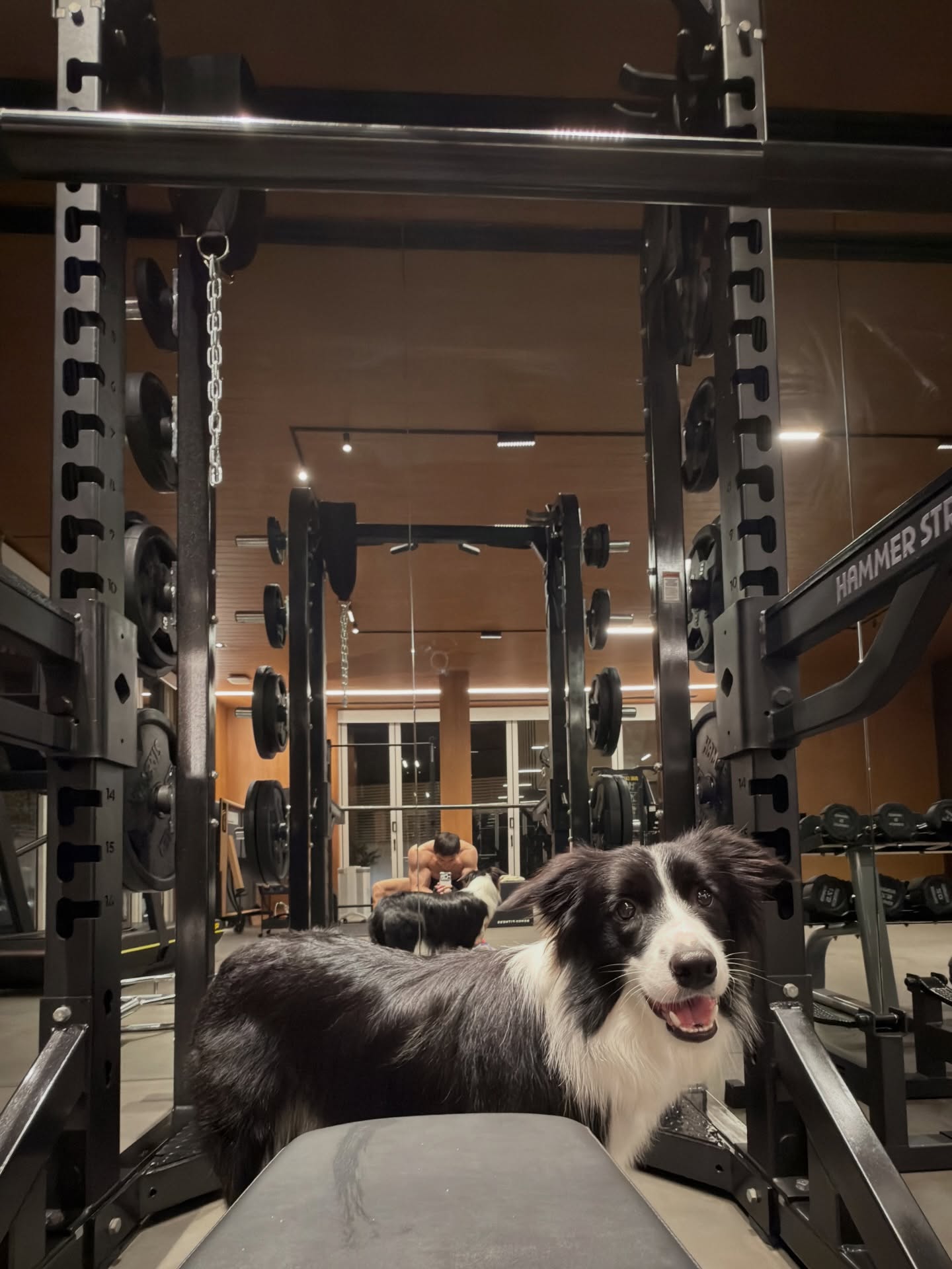 เจมส์ - จิรายุ ตั้งศรีสุข