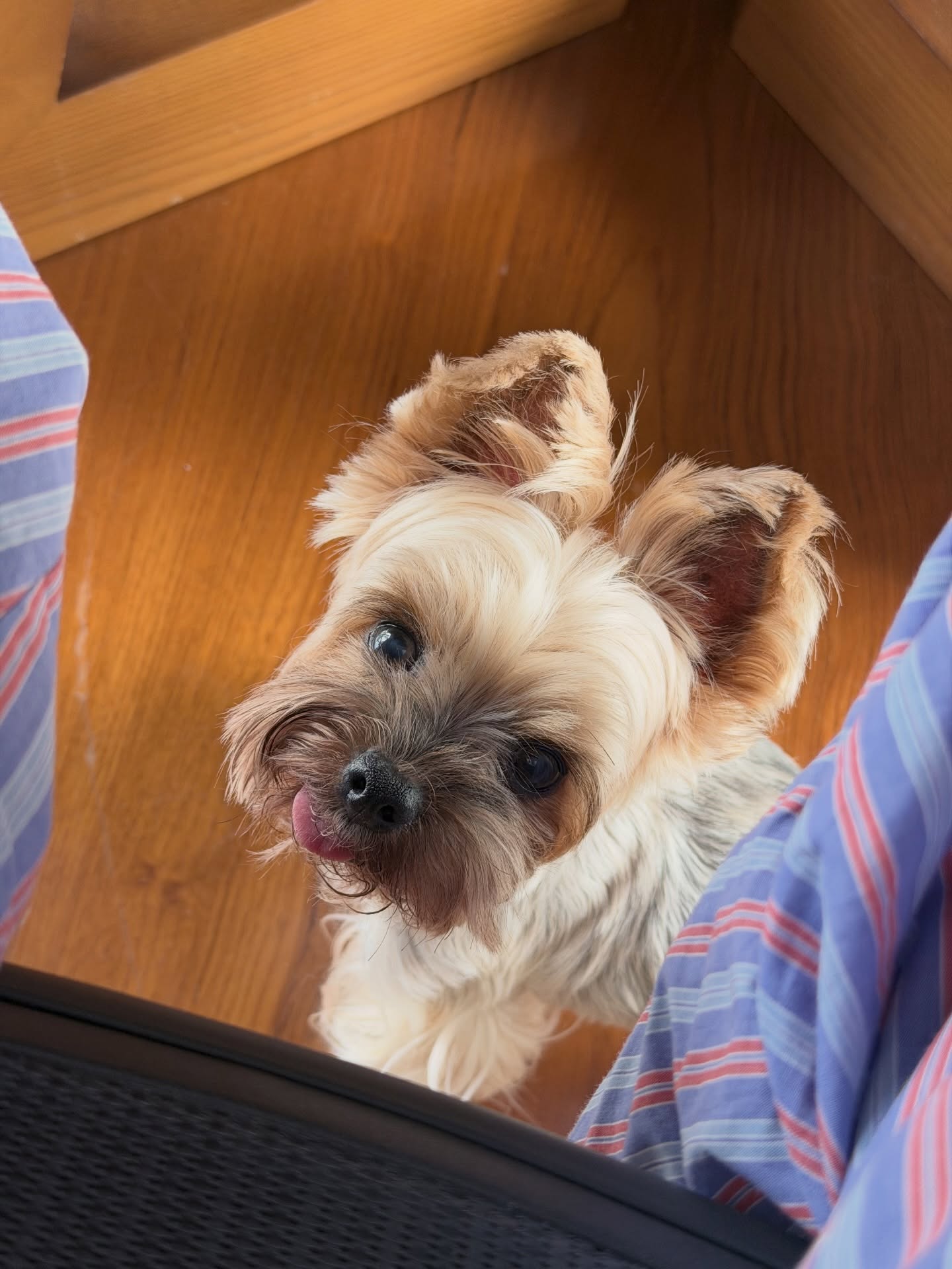 เจมส์ - จิรายุ ตั้งศรีสุข