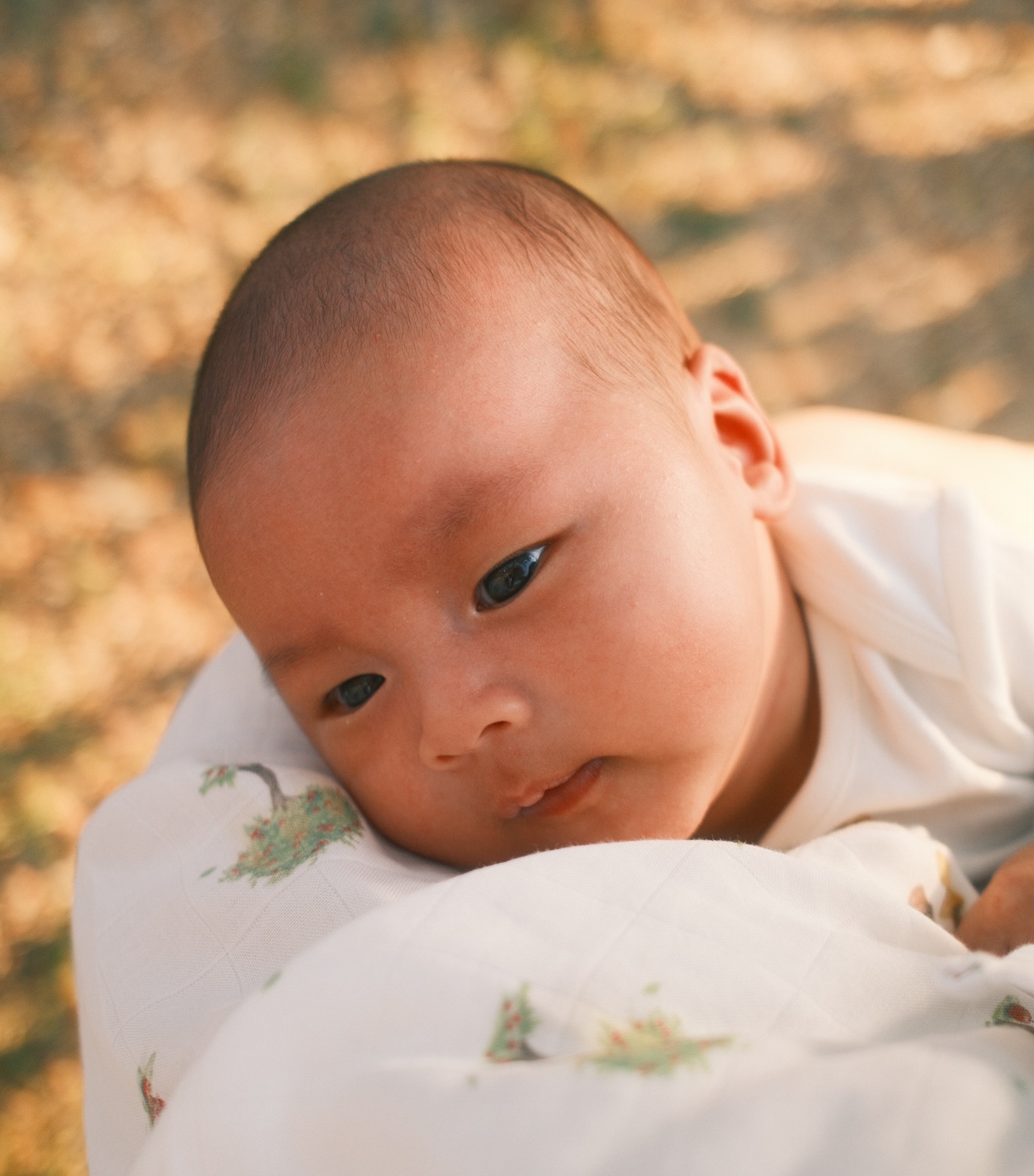 เจมส์ - จิรายุ ตั้งศรีสุข