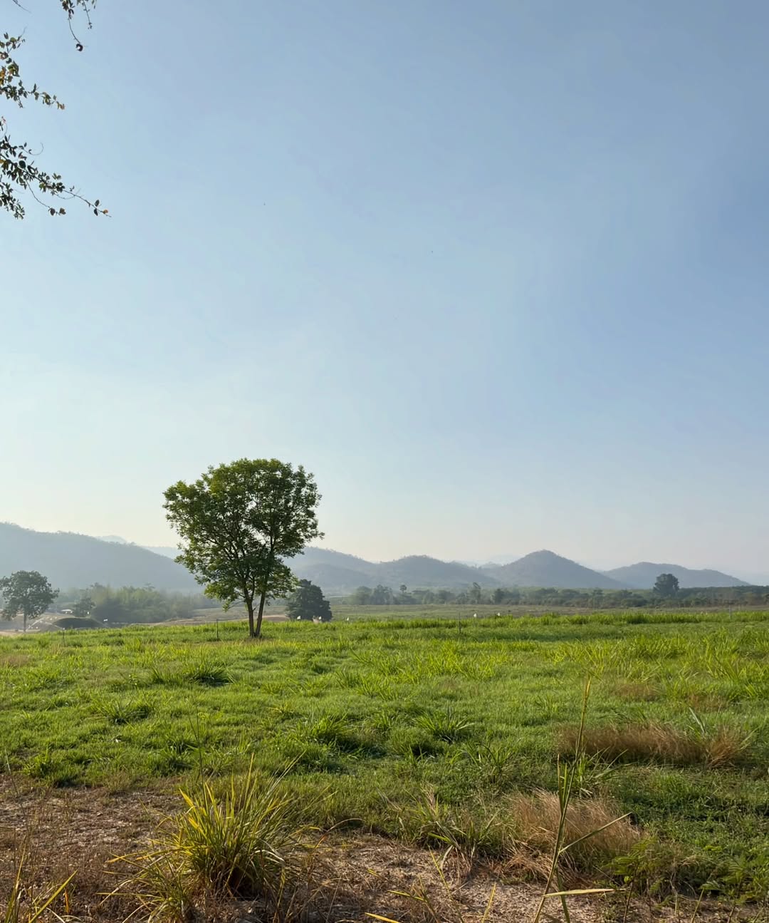 เจมส์ - จิรายุ ตั้งศรีสุข