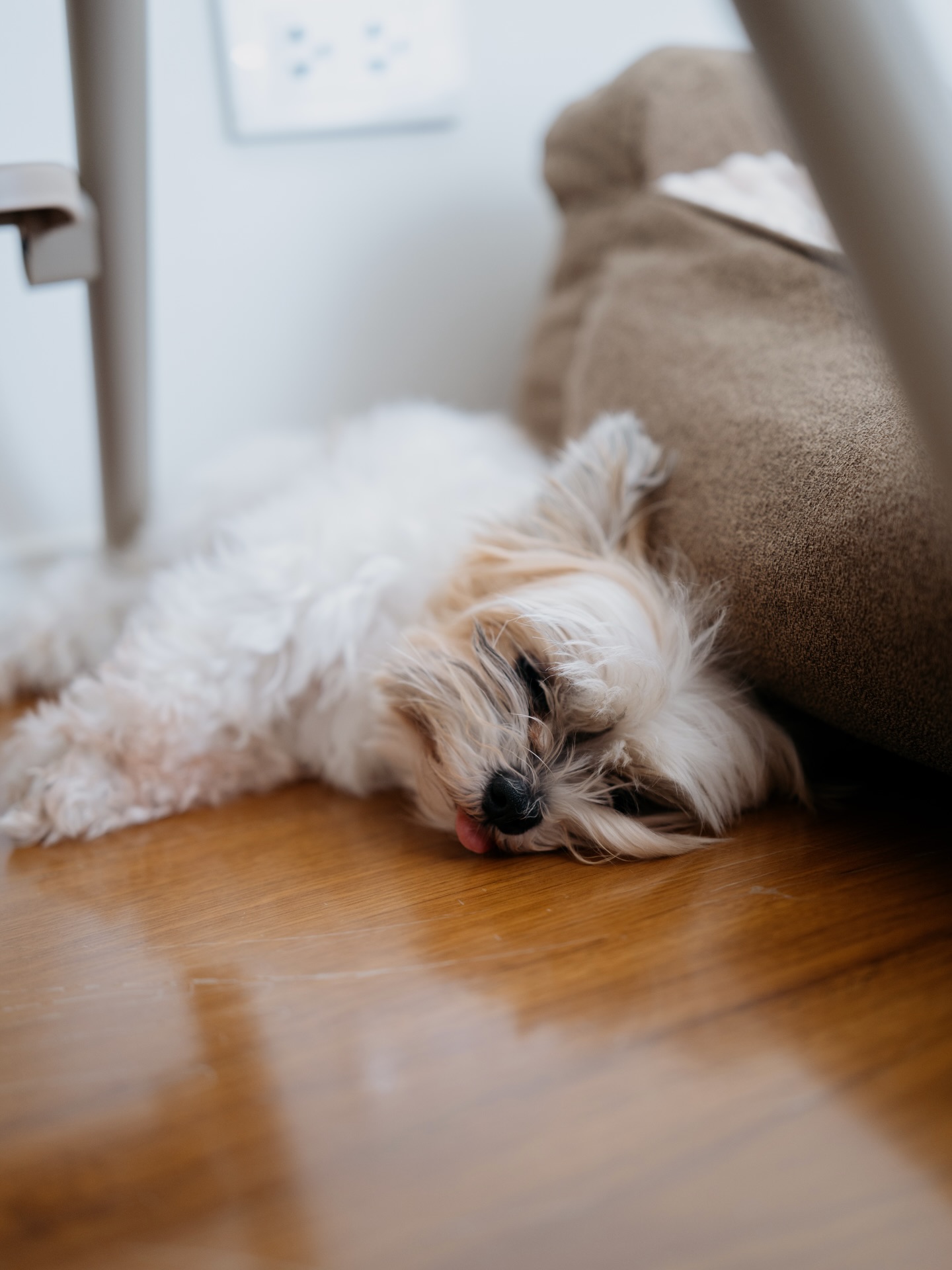 เจมส์ - จิรายุ ตั้งศรีสุข