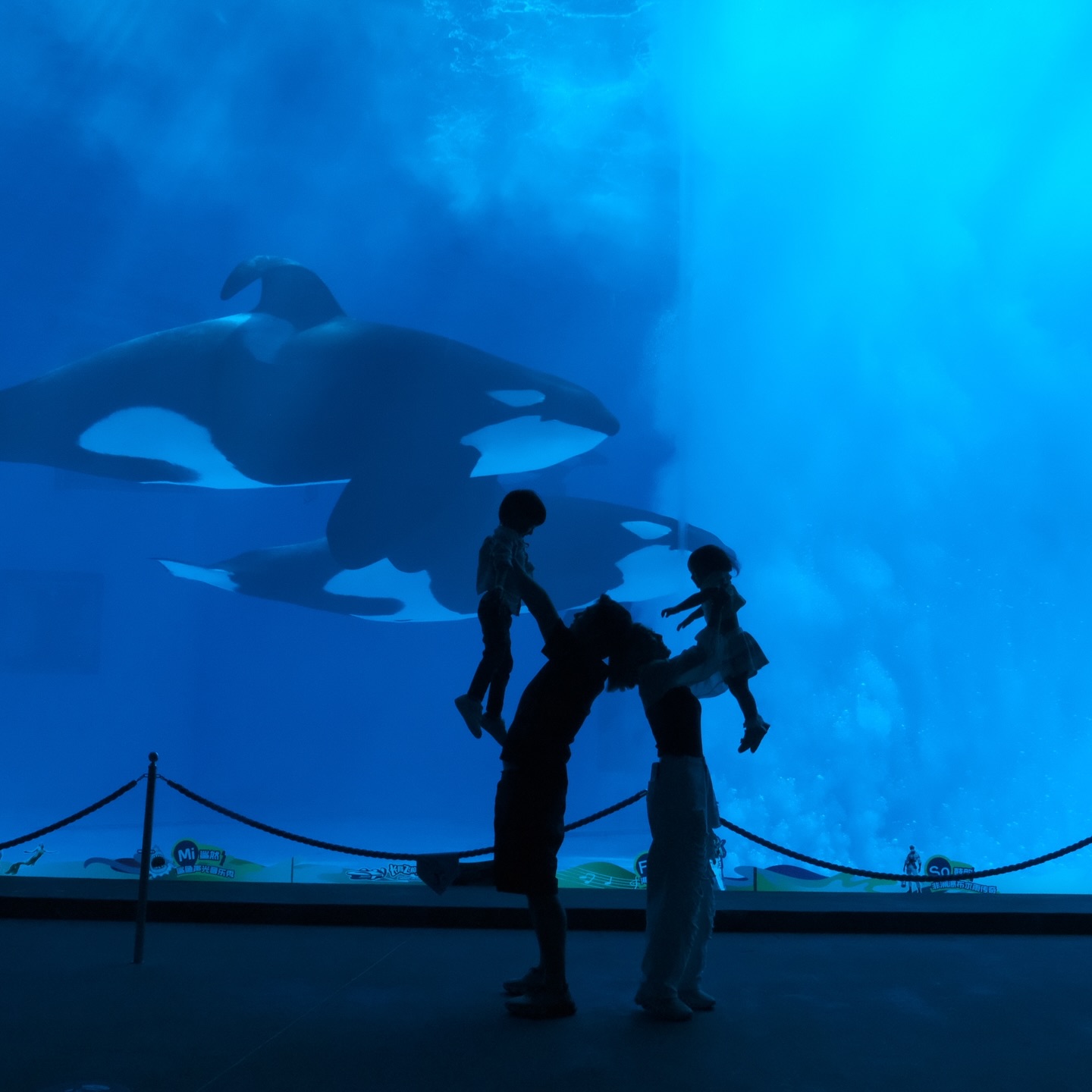 แนท - ณัฐชา นวลแจ่ม