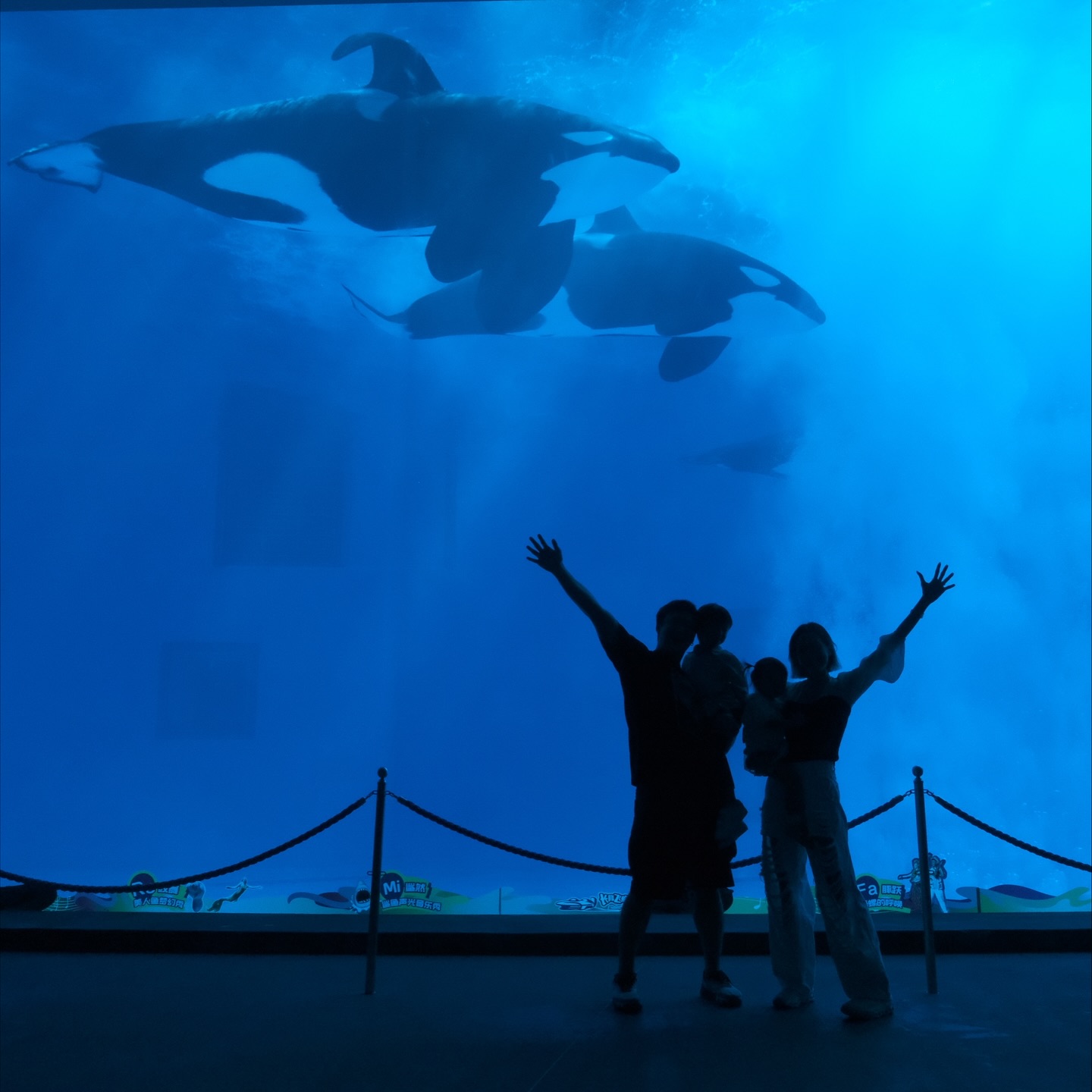 แนท - ณัฐชา นวลแจ่ม