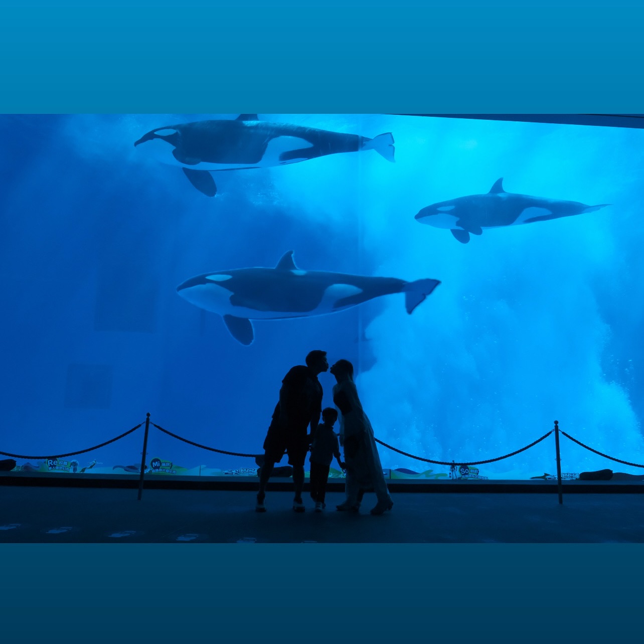 แนท - ณัฐชา นวลแจ่ม