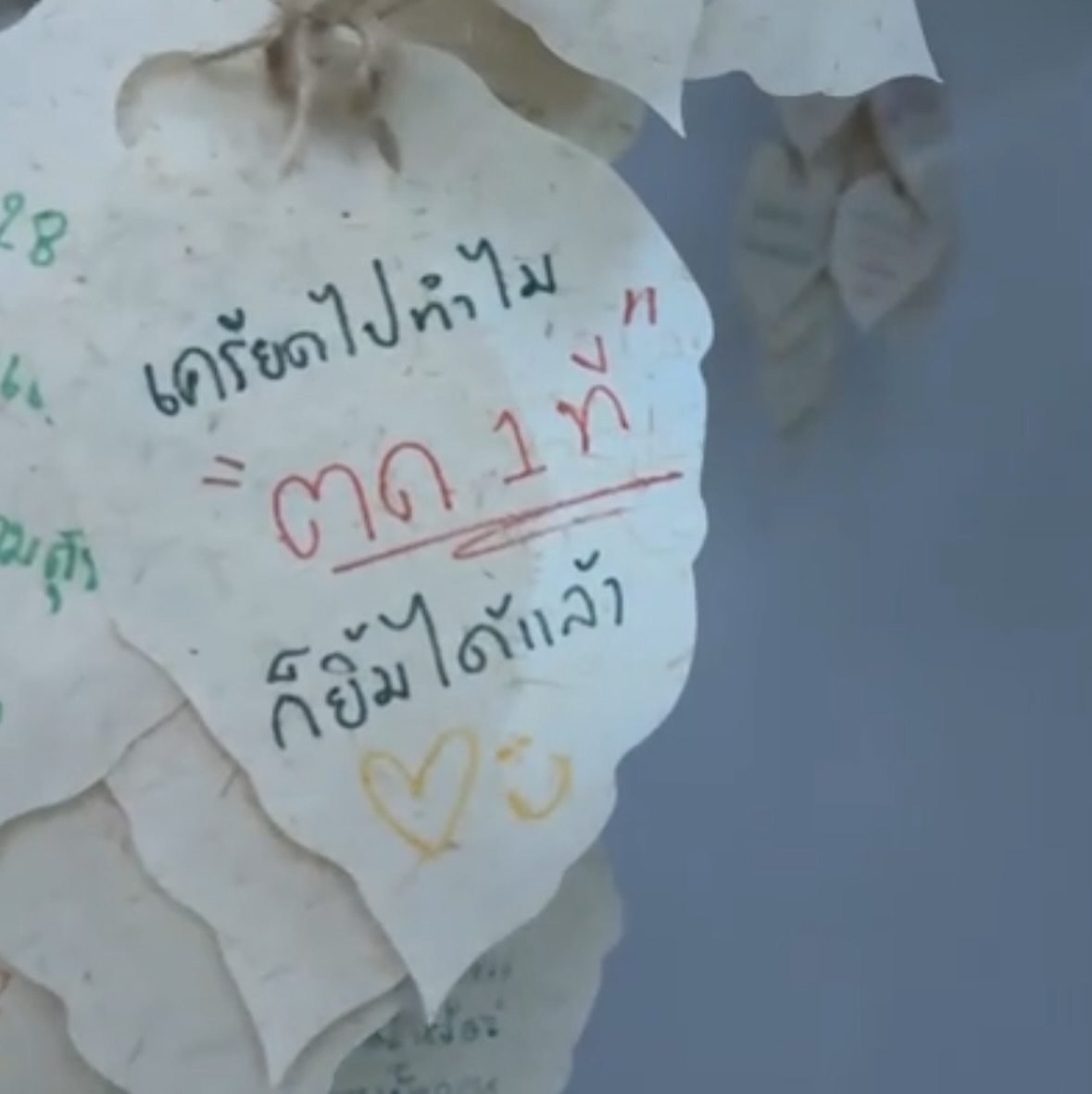 ปีโป้ - ณัชพัณณ์ ปรมะเจริญโรจน์