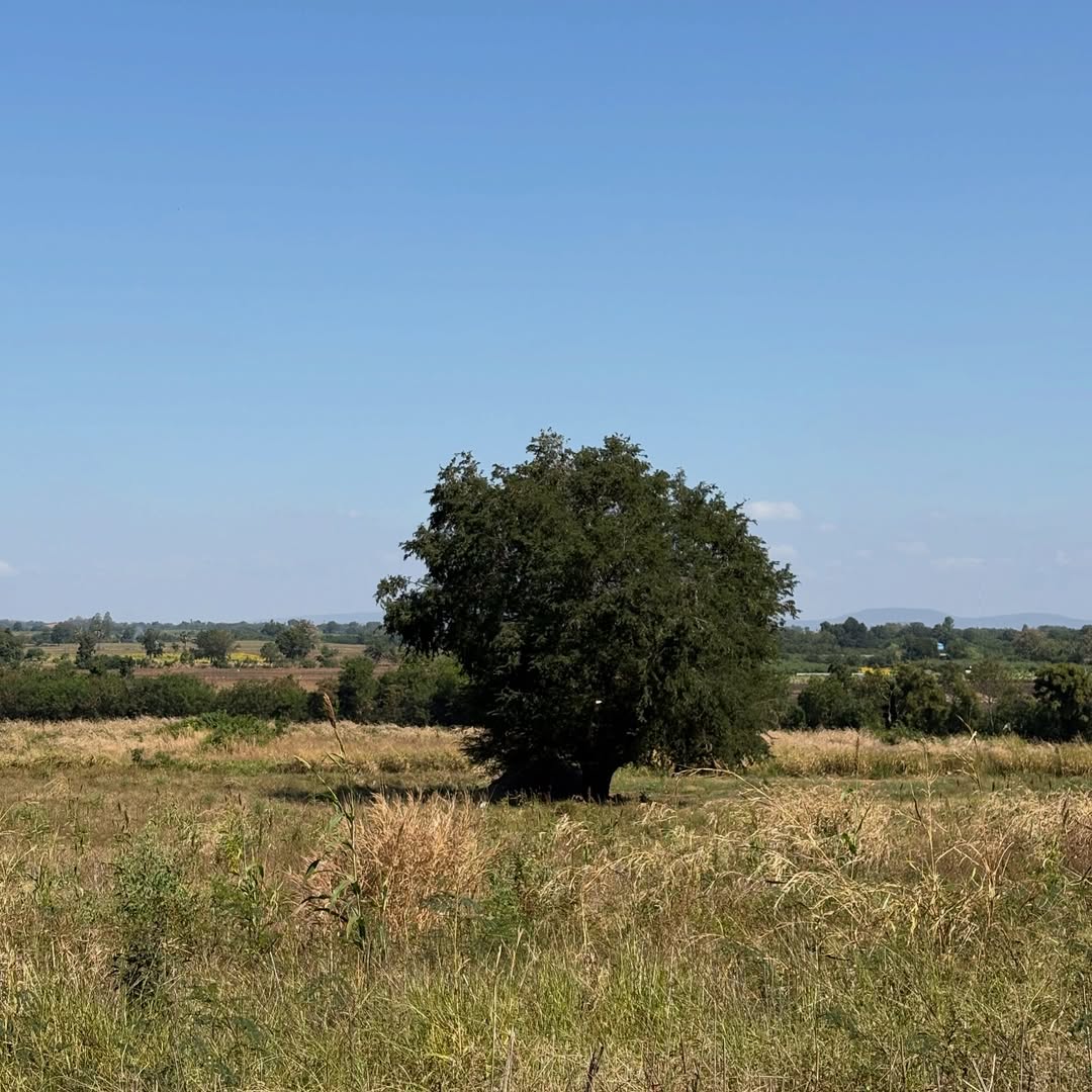 ปีโป้ - ณัชพัณณ์ ปรมะเจริญโรจน์