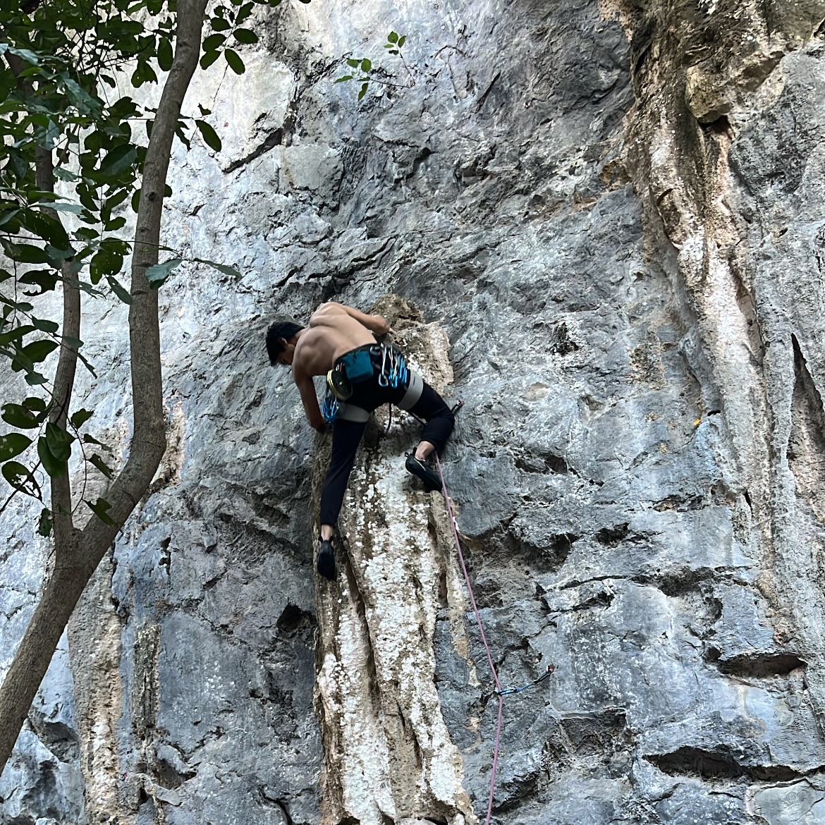 ปีโป้ - ณัชพัณณ์ ปรมะเจริญโรจน์