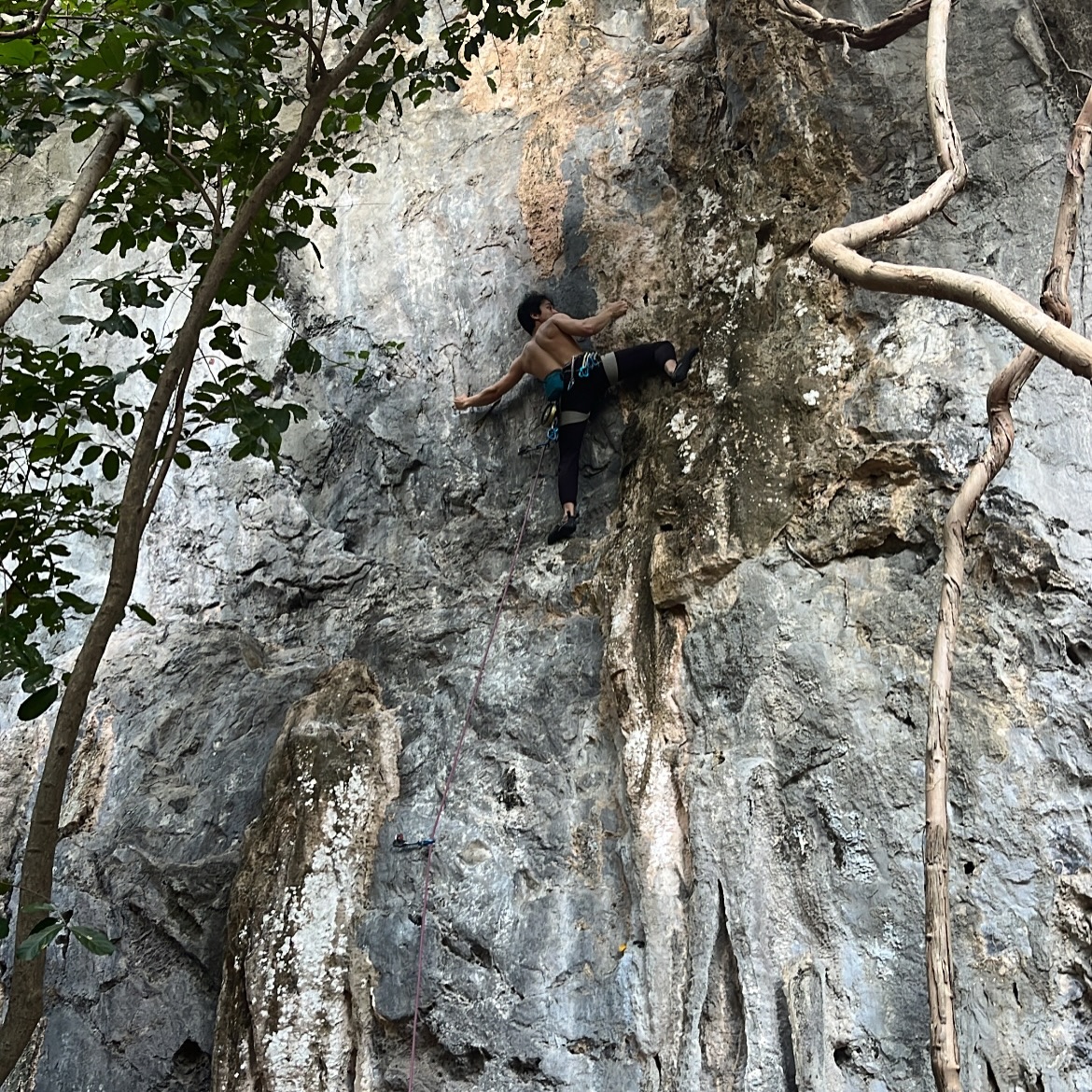 ปีโป้ - ณัชพัณณ์ ปรมะเจริญโรจน์