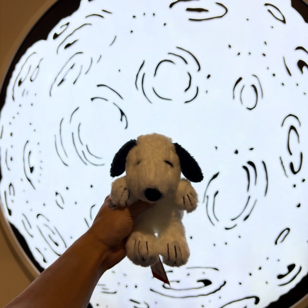 ปีโป้ - ณัชพัณณ์ ปรมะเจริญโรจน์