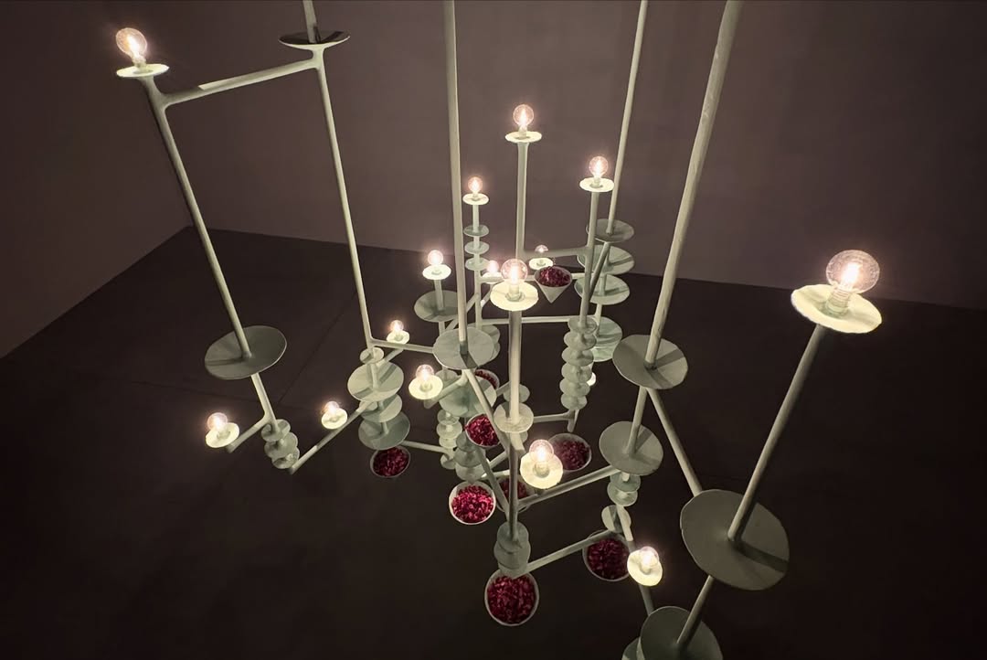 ปีโป้ - ณัชพัณณ์ ปรมะเจริญโรจน์