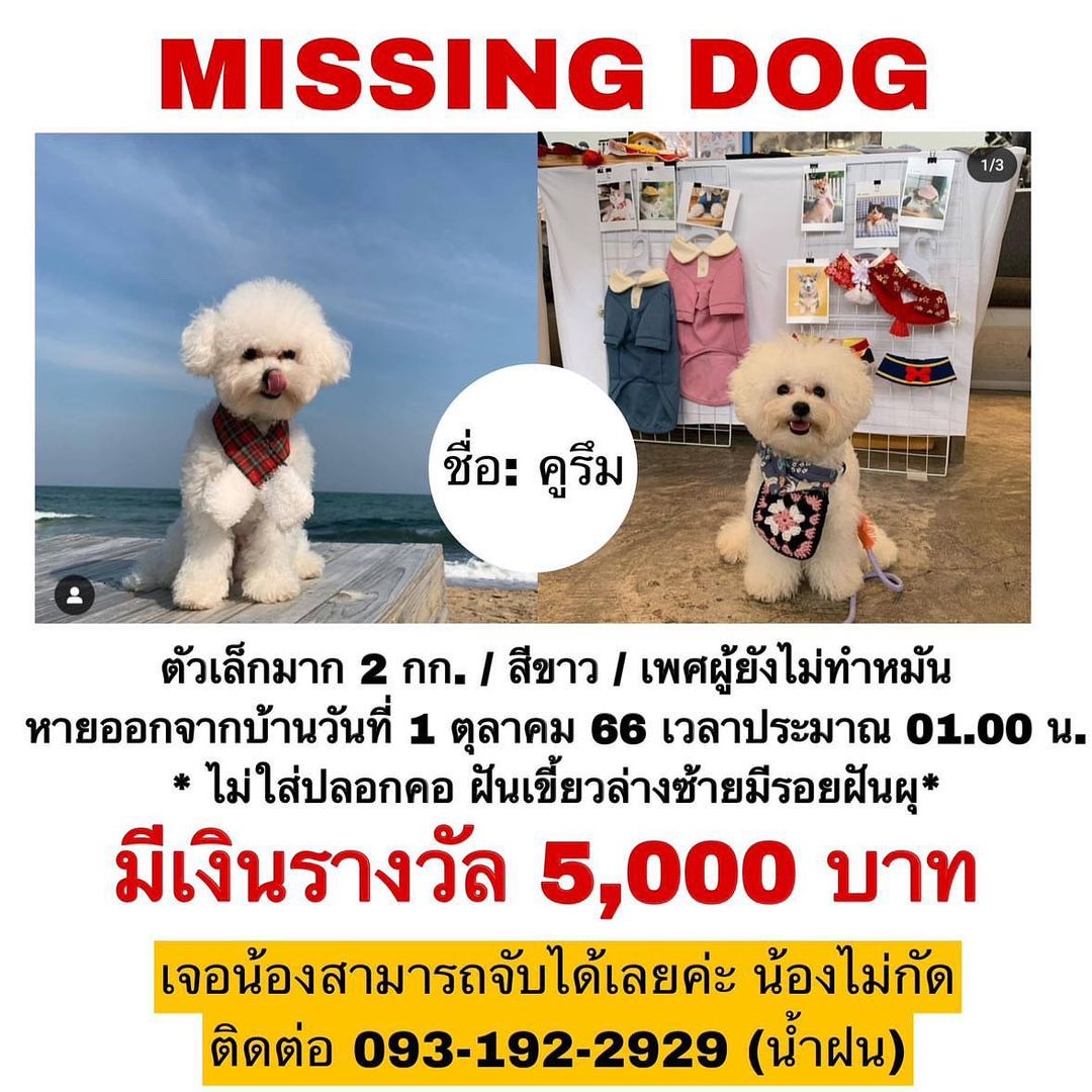 เบิ้ล ปทุมราช