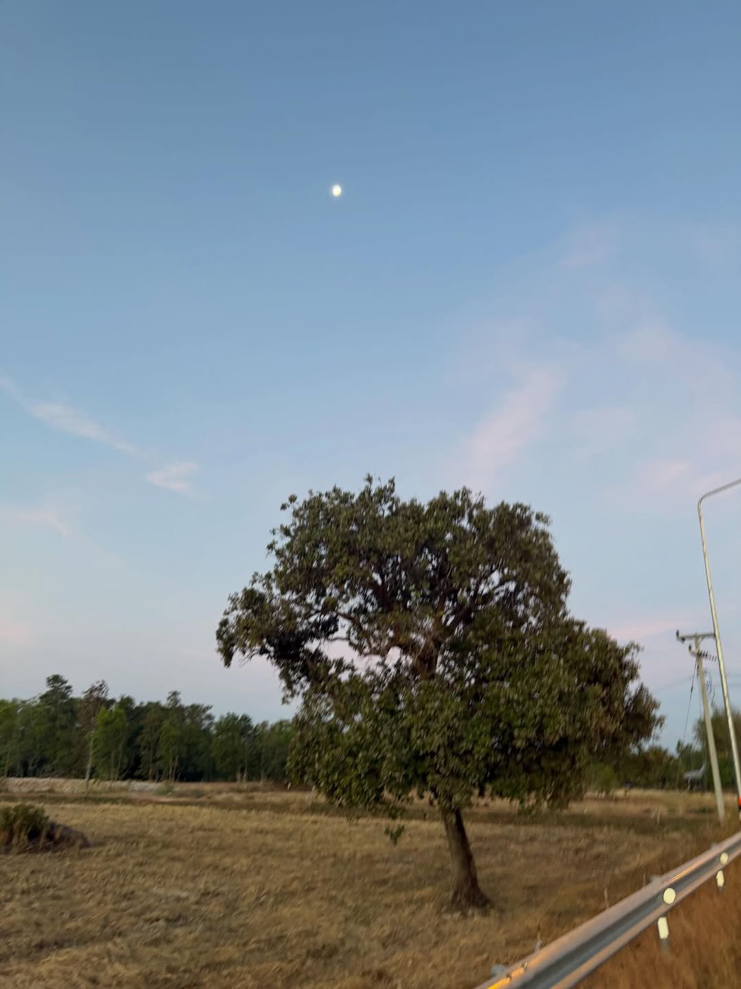 เบิ้ล ปทุมราช