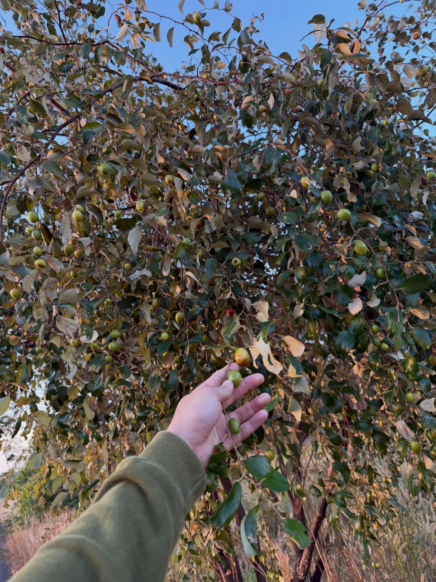 เบิ้ล ปทุมราช