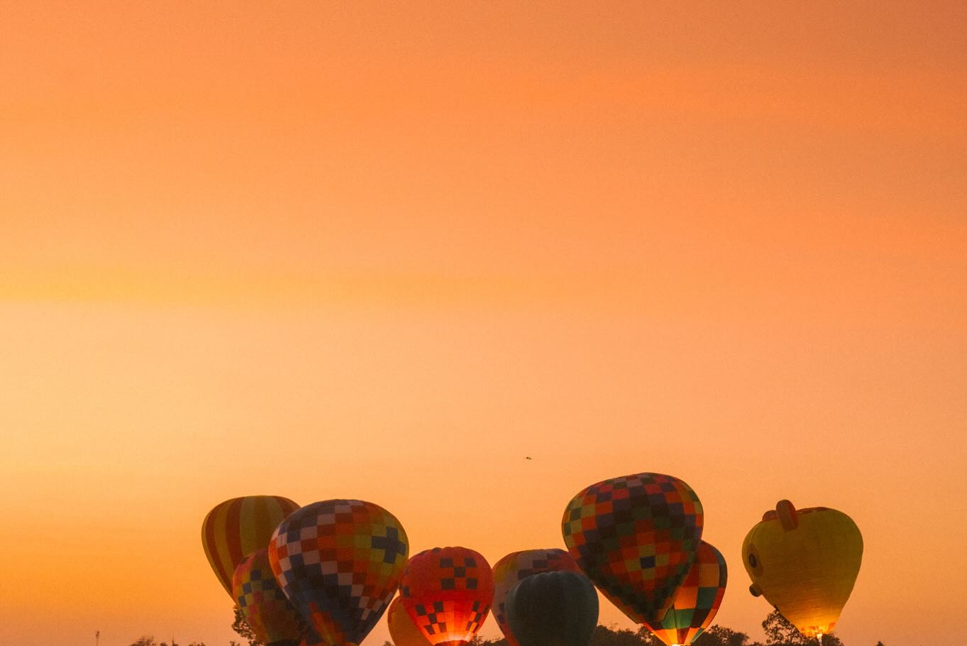 เบิ้ล ปทุมราช