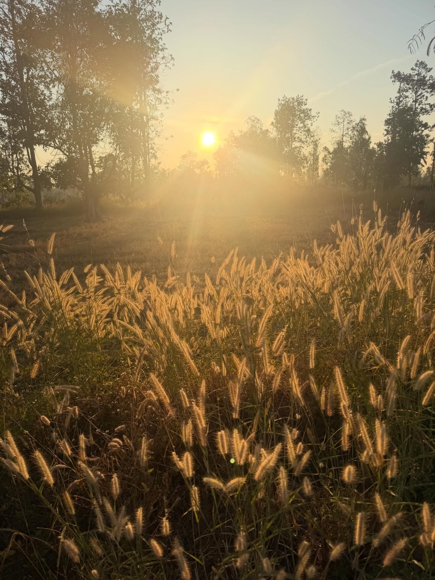 เบิ้ล ปทุมราช