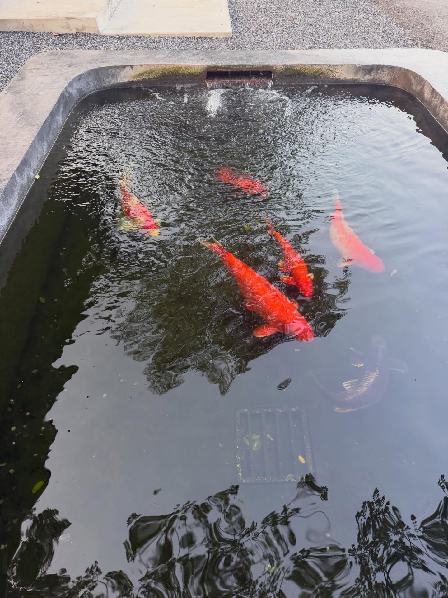 เบิ้ล ปทุมราช