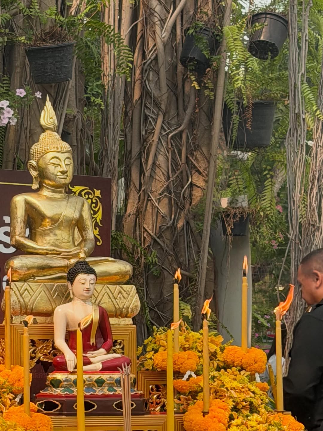 ปาย - ฉัตรนภา เขียวขำ