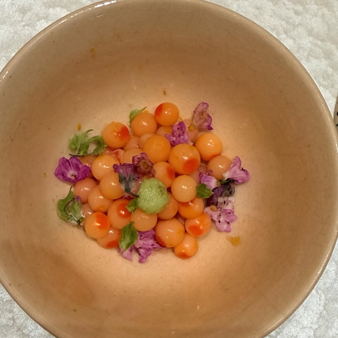 พีพี - พัชญา เพียรเสมอ