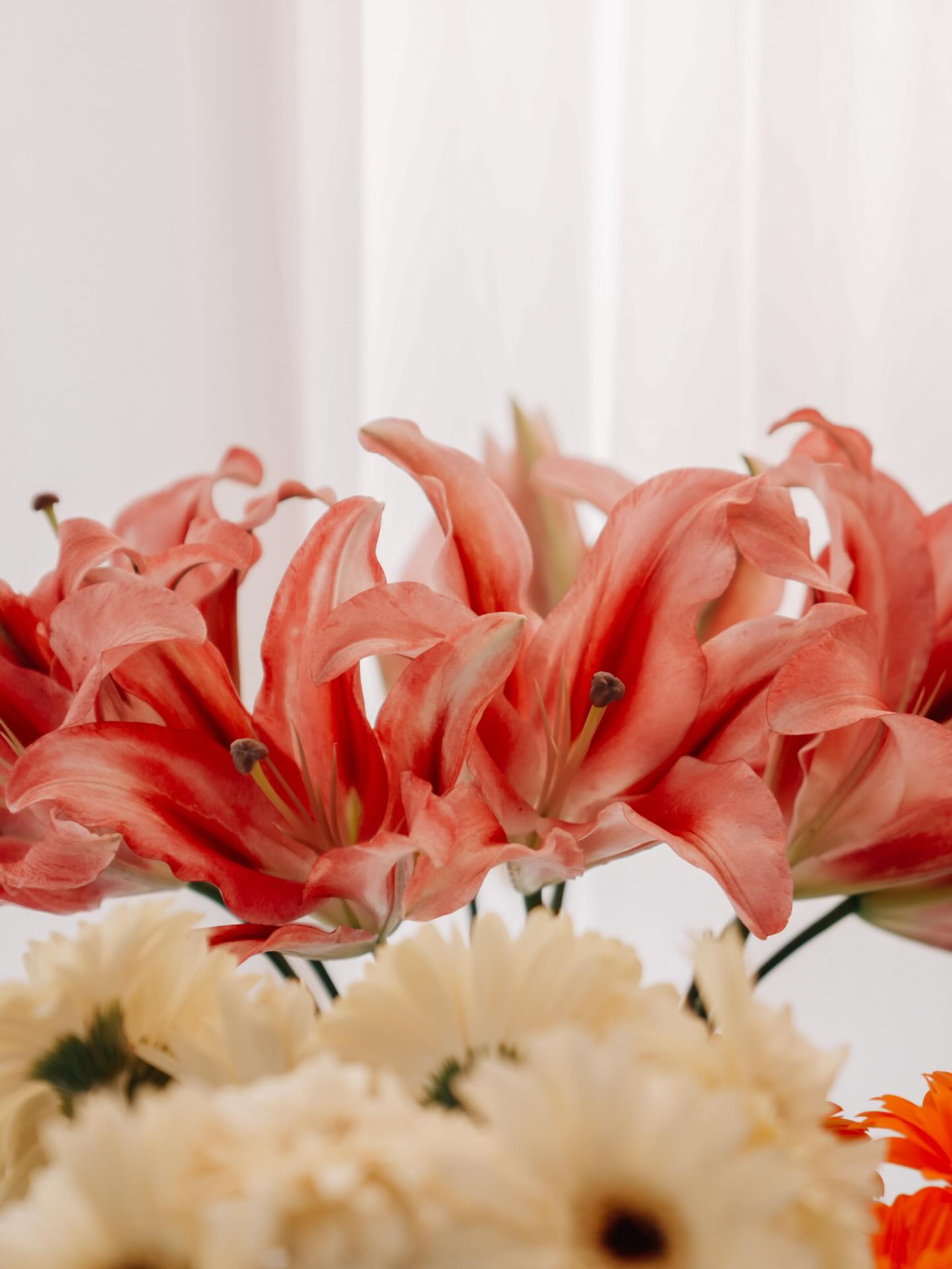 พีพี - พัชญา เพียรเสมอ