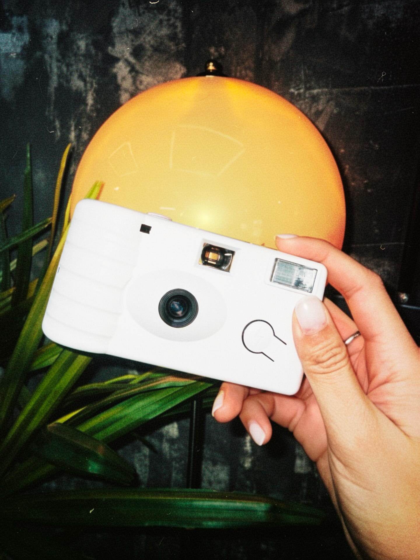 พีพี - พัชญา เพียรเสมอ