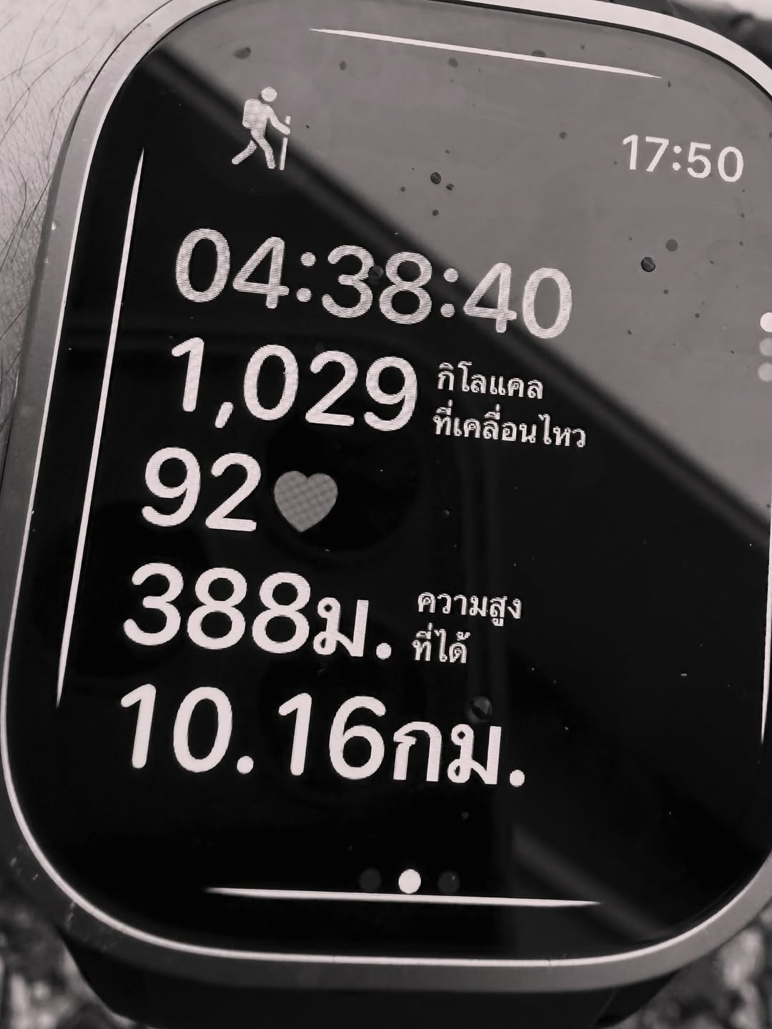 แจม - รชตะ หัมพานนท์