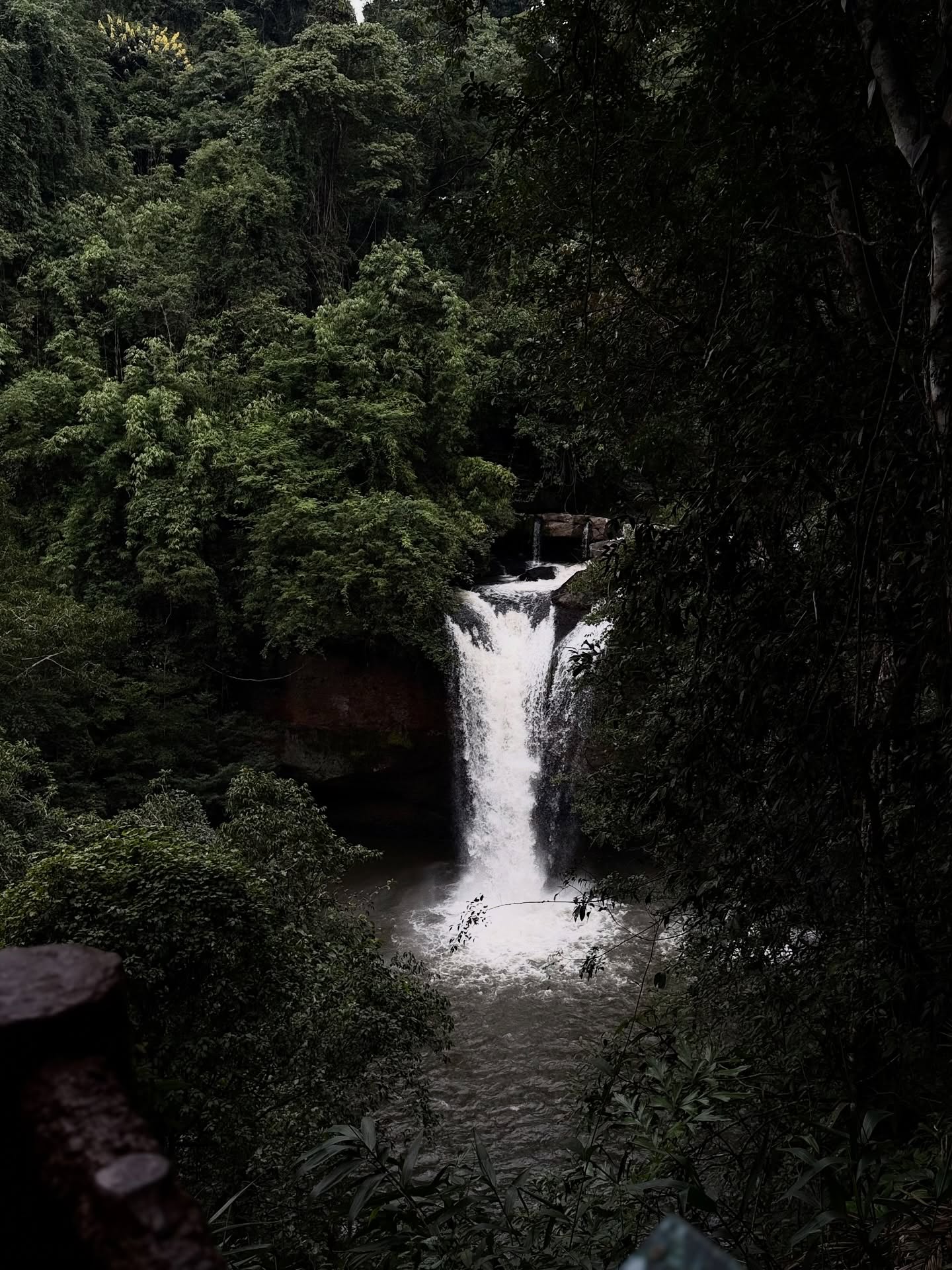 แจม - รชตะ หัมพานนท์