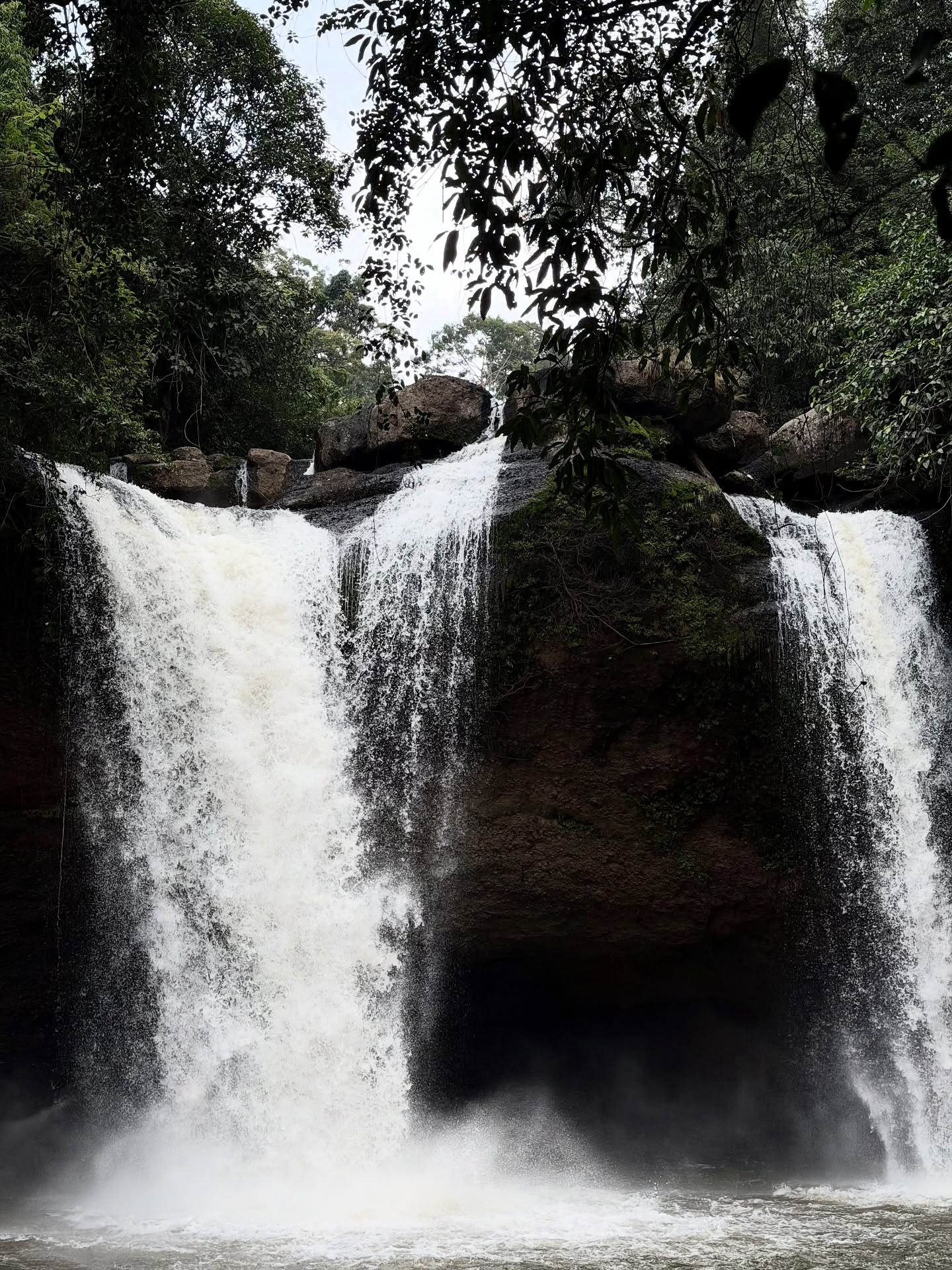 แจม - รชตะ หัมพานนท์