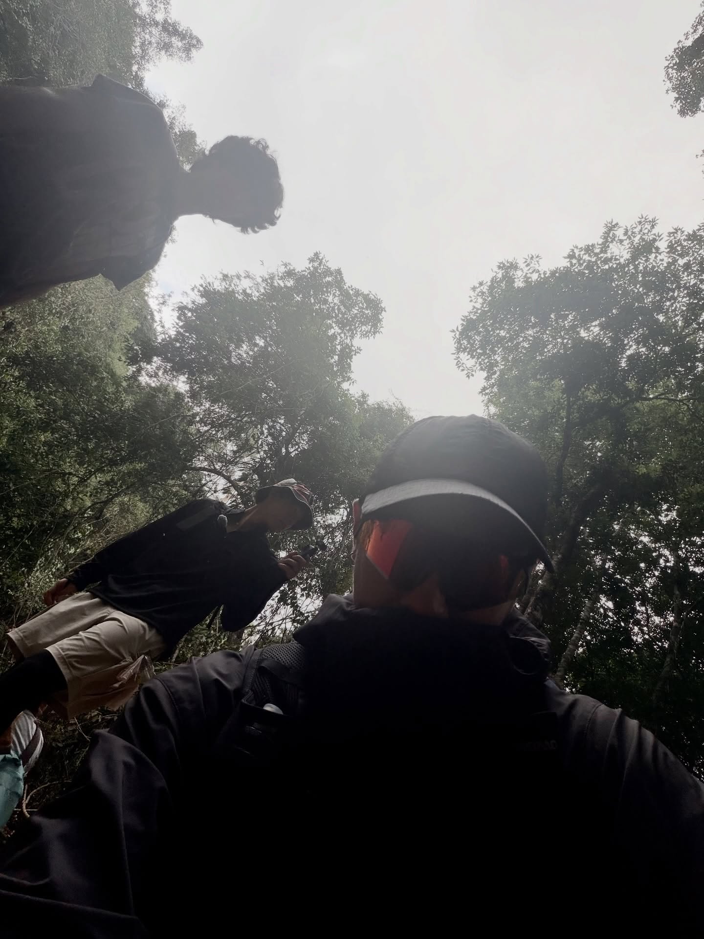 แจม - รชตะ หัมพานนท์