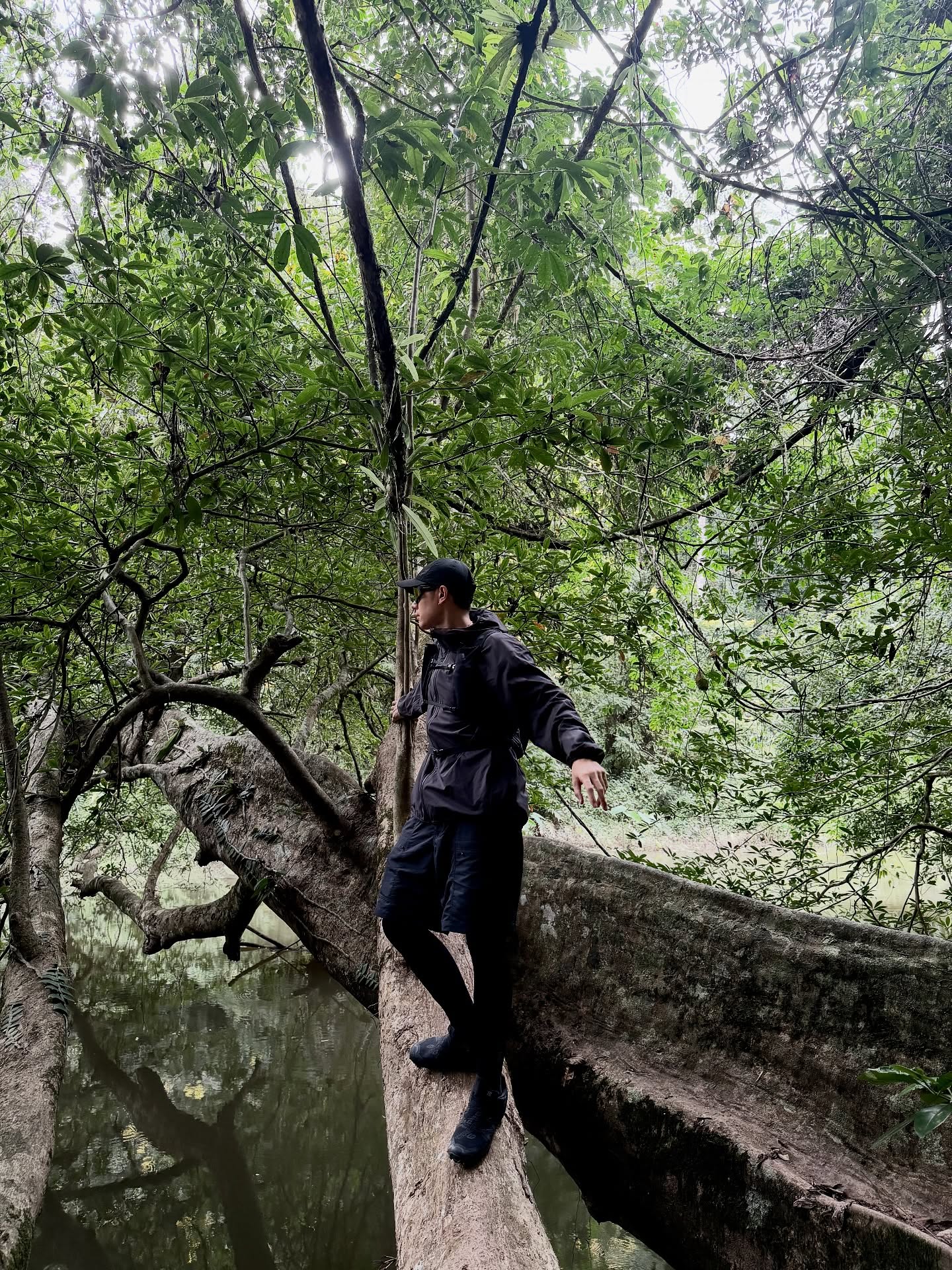 แจม - รชตะ หัมพานนท์