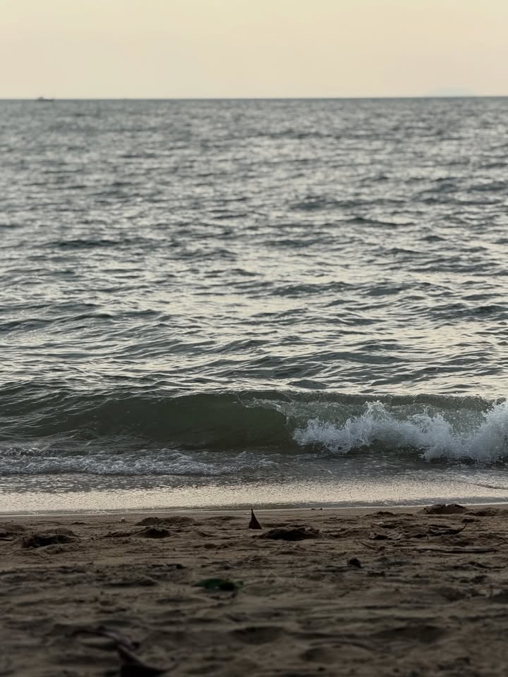 แจม - รชตะ หัมพานนท์