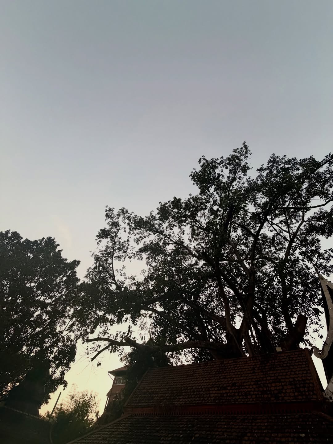 แจม - รชตะ หัมพานนท์