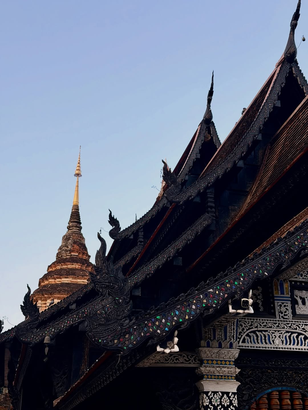 แจม - รชตะ หัมพานนท์