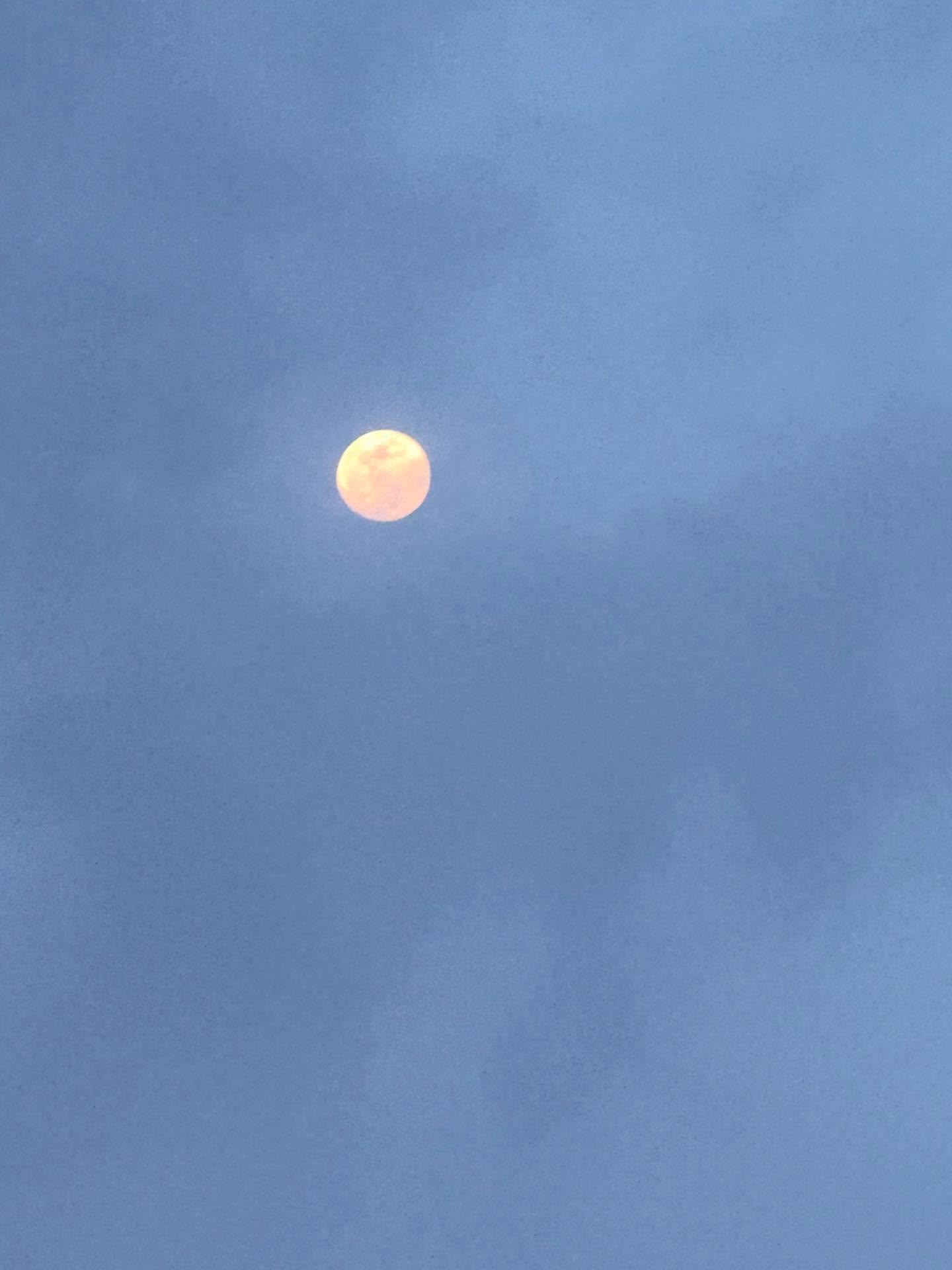 ลิตา - คาลิยา นิฮุต