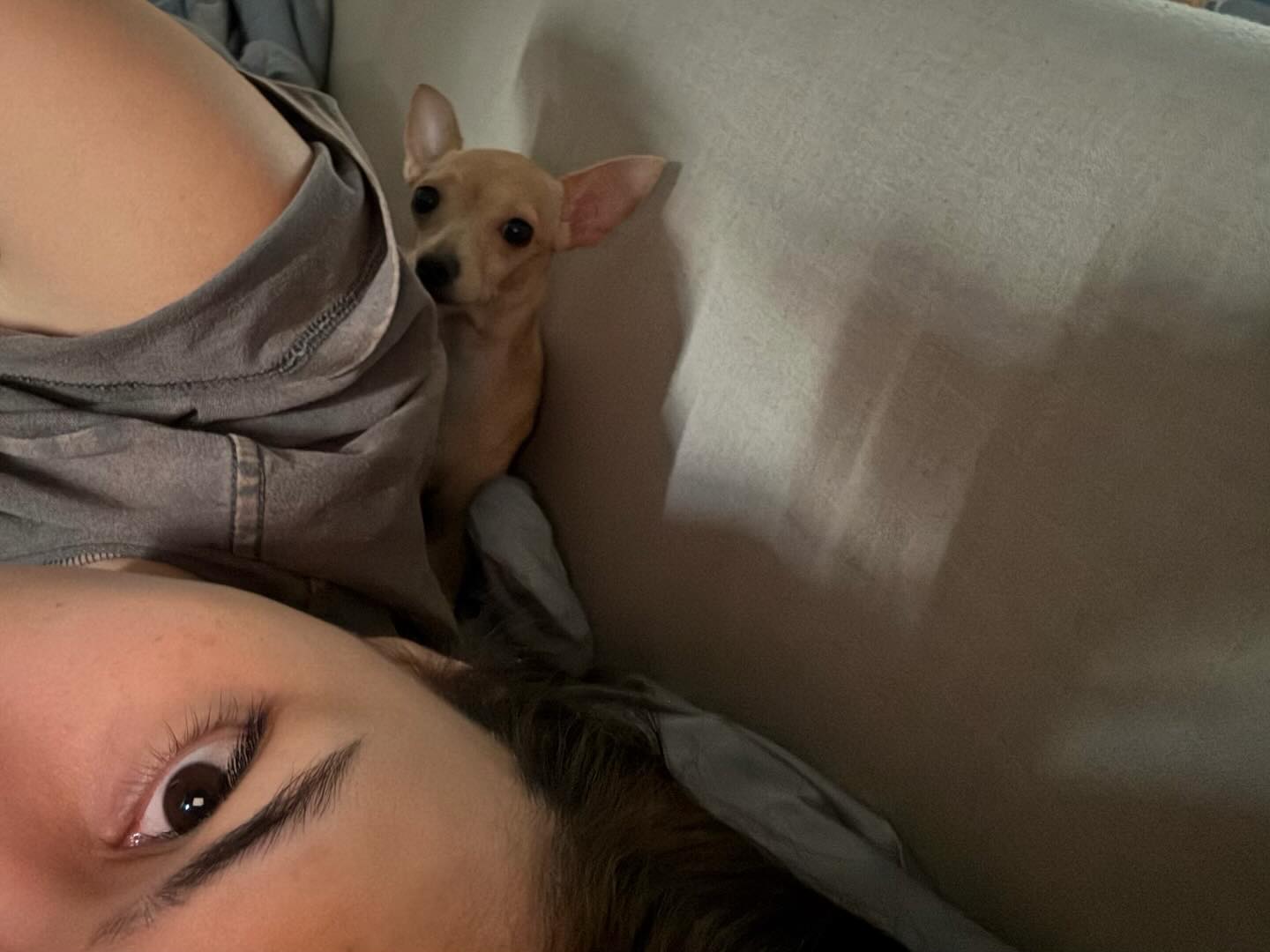 ลิตา - คาลิยา นิฮุต