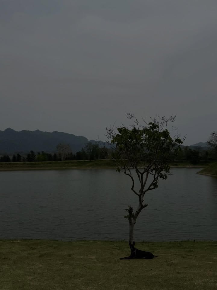 ลิตา - คาลิยา นิฮุต