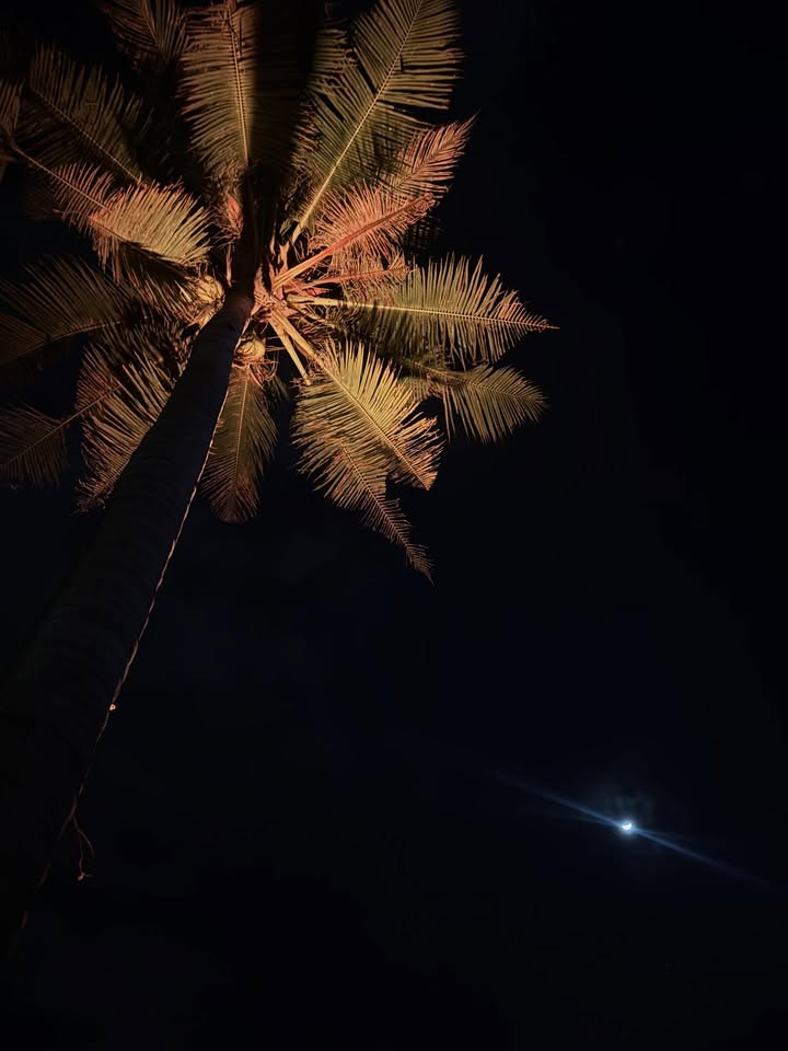 ลิตา - คาลิยา นิฮุต