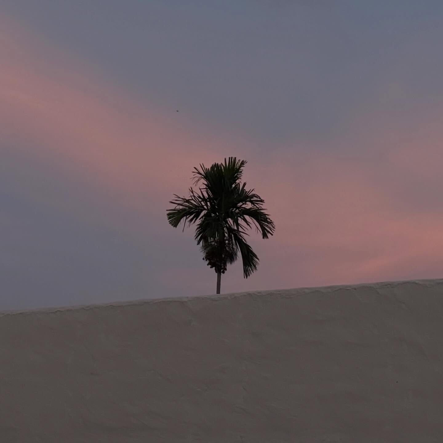 ลิตา - คาลิยา นิฮุต