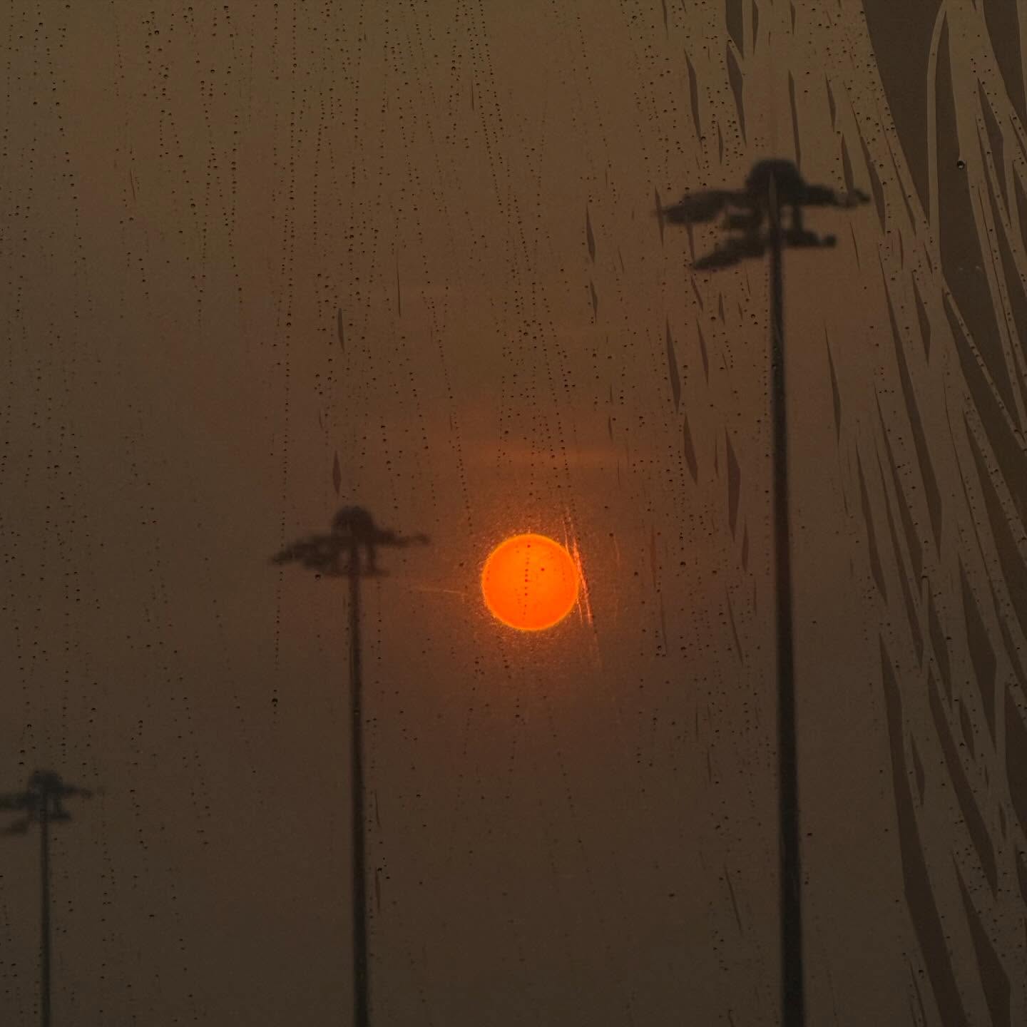 ลิตา - คาลิยา นิฮุต