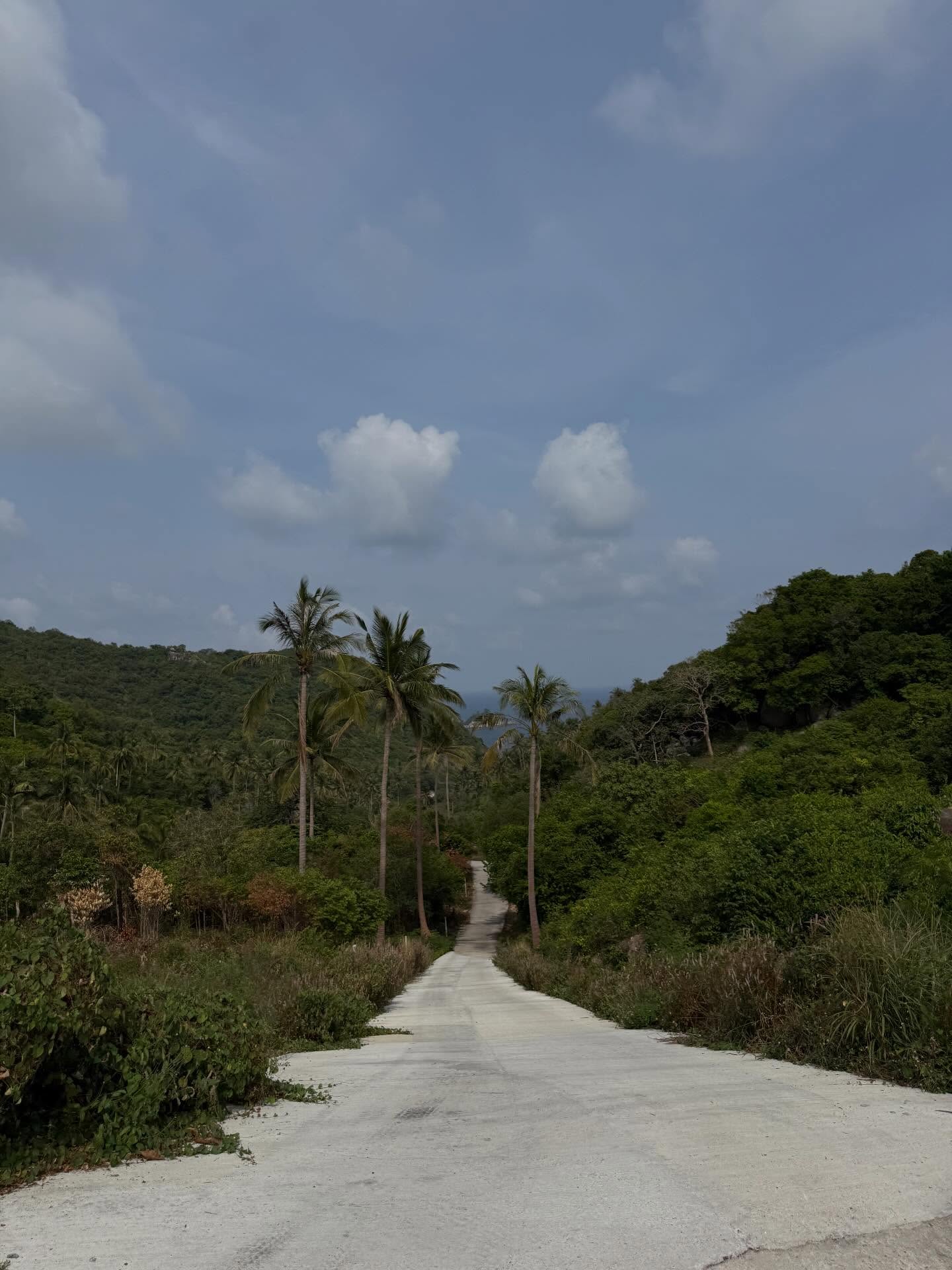 ลิตา - คาลิยา นิฮุต