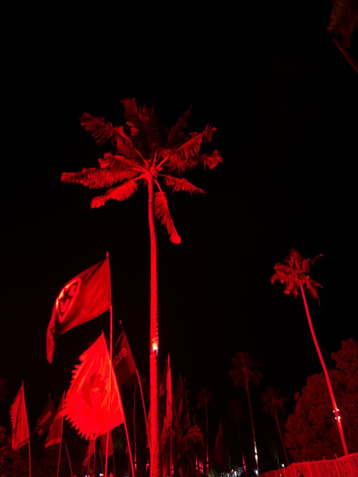 ลิตา - คาลิยา นิฮุต