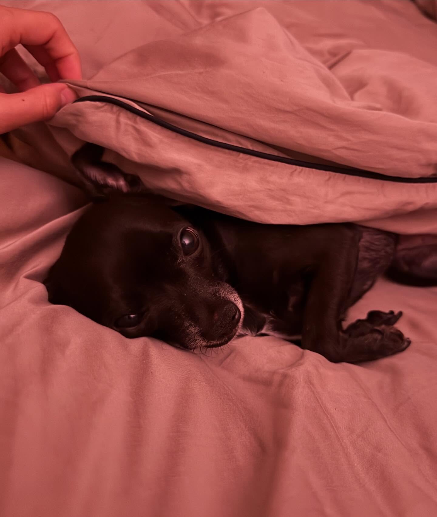 ลิตา - คาลิยา นิฮุต