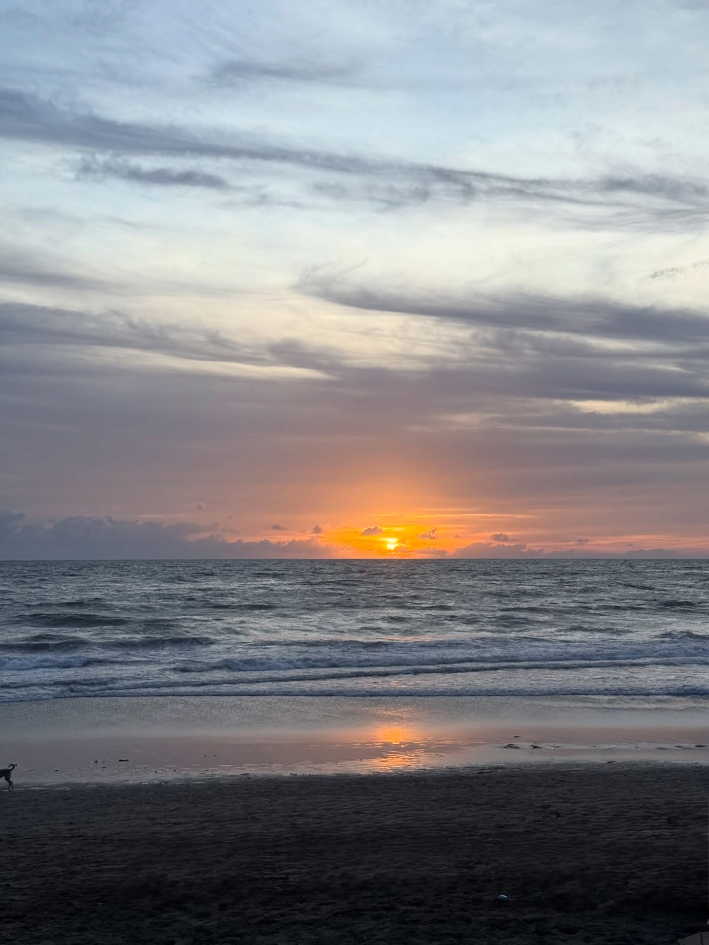 ป๋อ - ศุภการ จิรโชติกุล