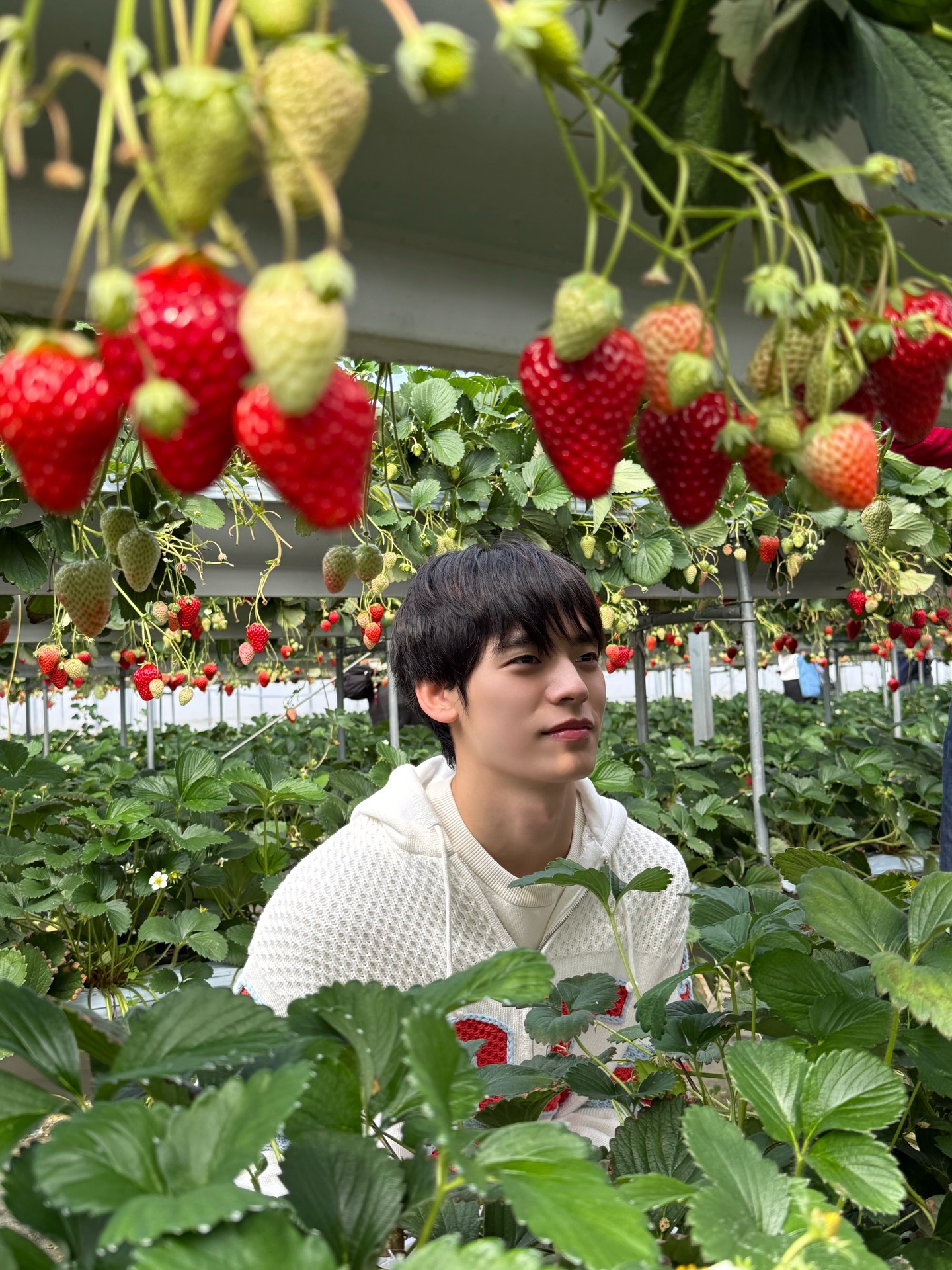 ป๋อ - ศุภการ จิรโชติกุล