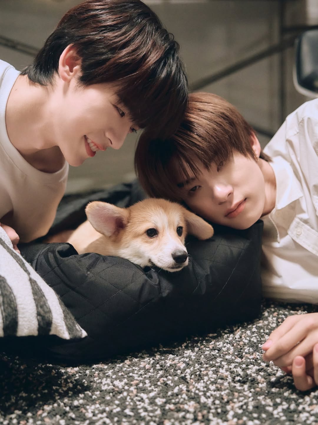 ป๋อ - ศุภการ จิรโชติกุล