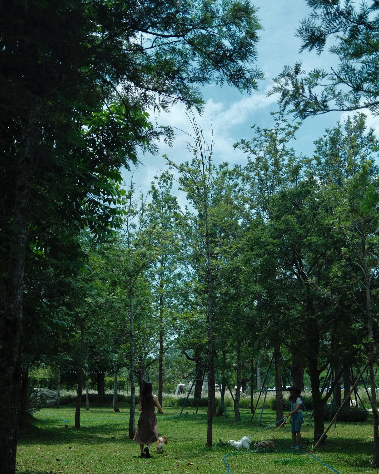 เพชร - เผ่าเพชร เจริญสุข